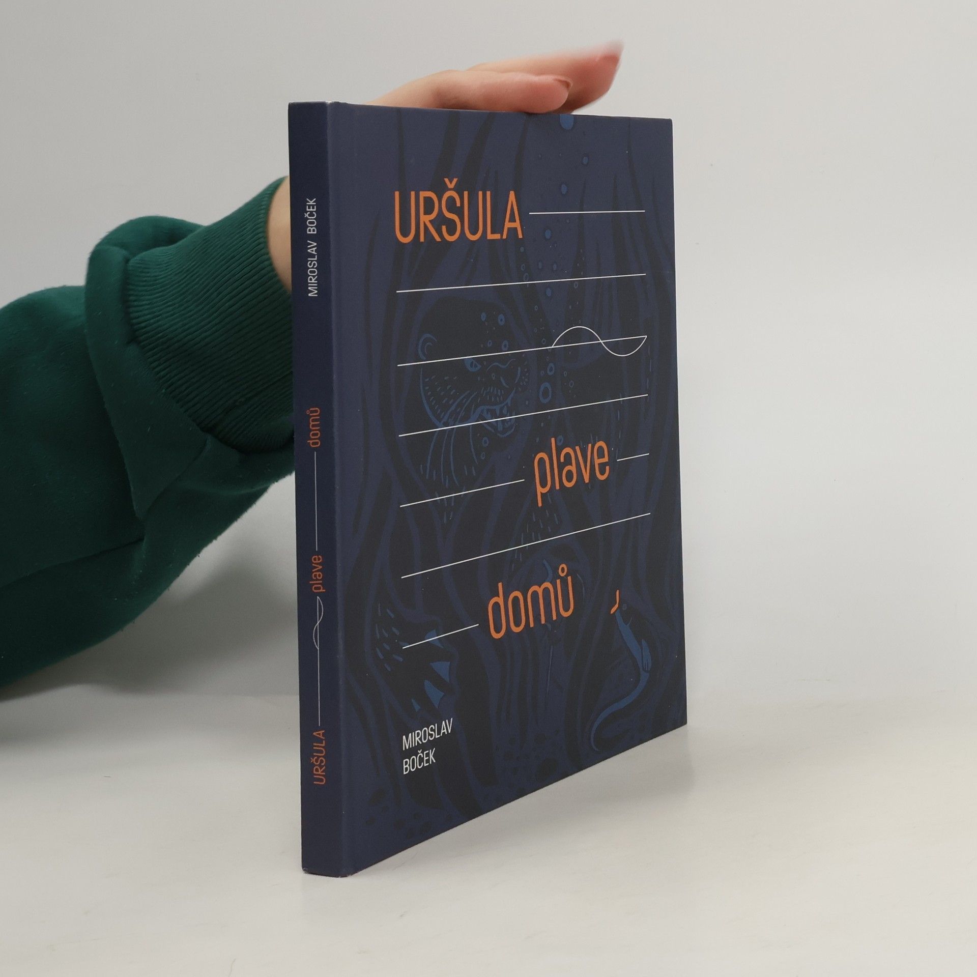 Miroslav Boček Uršula plave domů