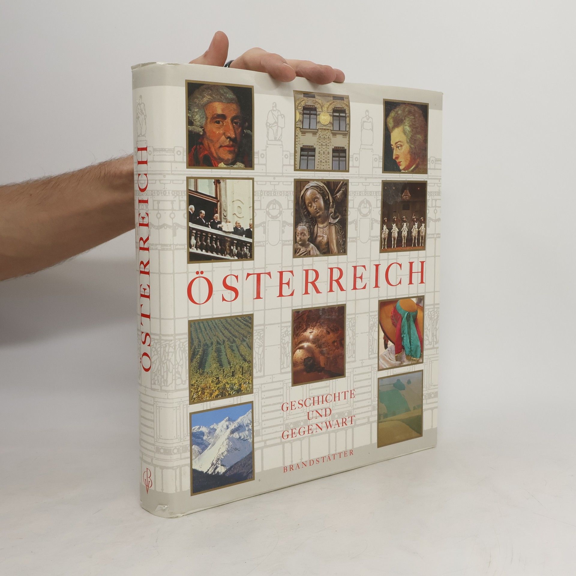 Kolektív autorov Österreich : Geschichte und Gegenwart