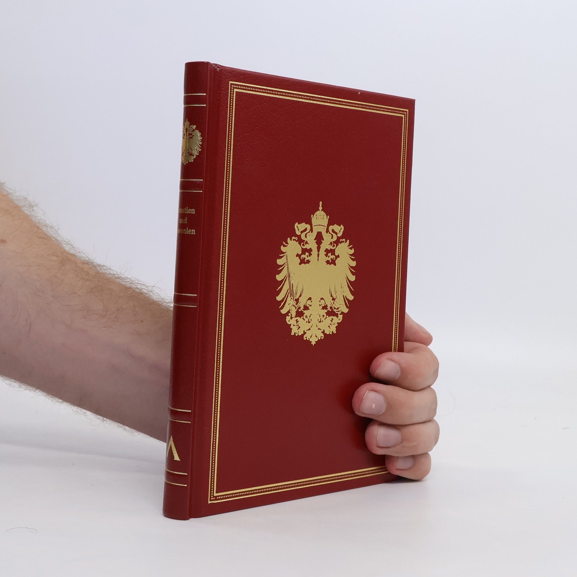 Friedrich Umlauft Die Länder Oesterreich Ungarns in Wort und Bild. Bosnien und die Hercegovina
