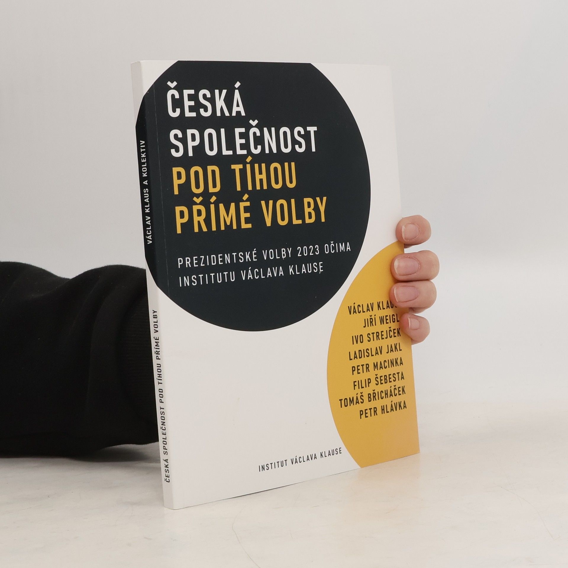 Autorenkollektiv Česká společnost pod tíhou přímé volby