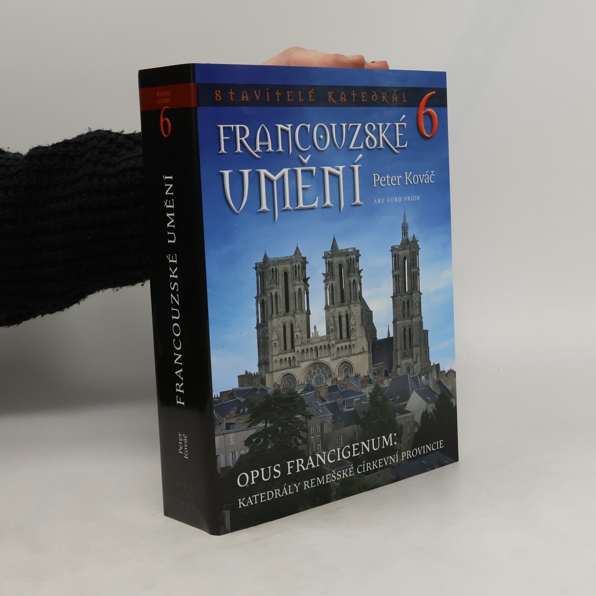 Collectif d'auteurs Francouzské umění 6
