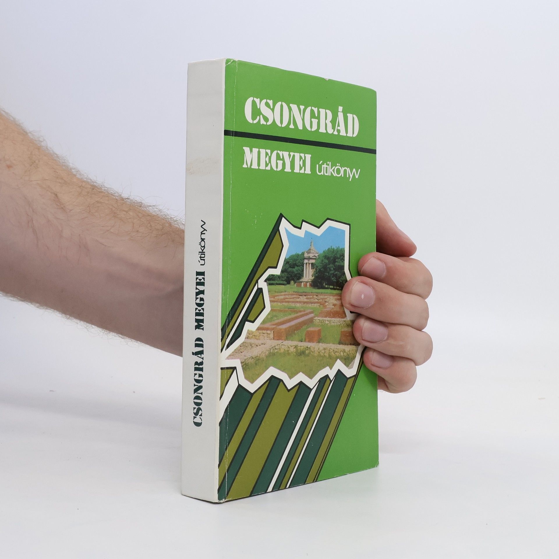 AA.VV. Csongrád megyei útikönyv