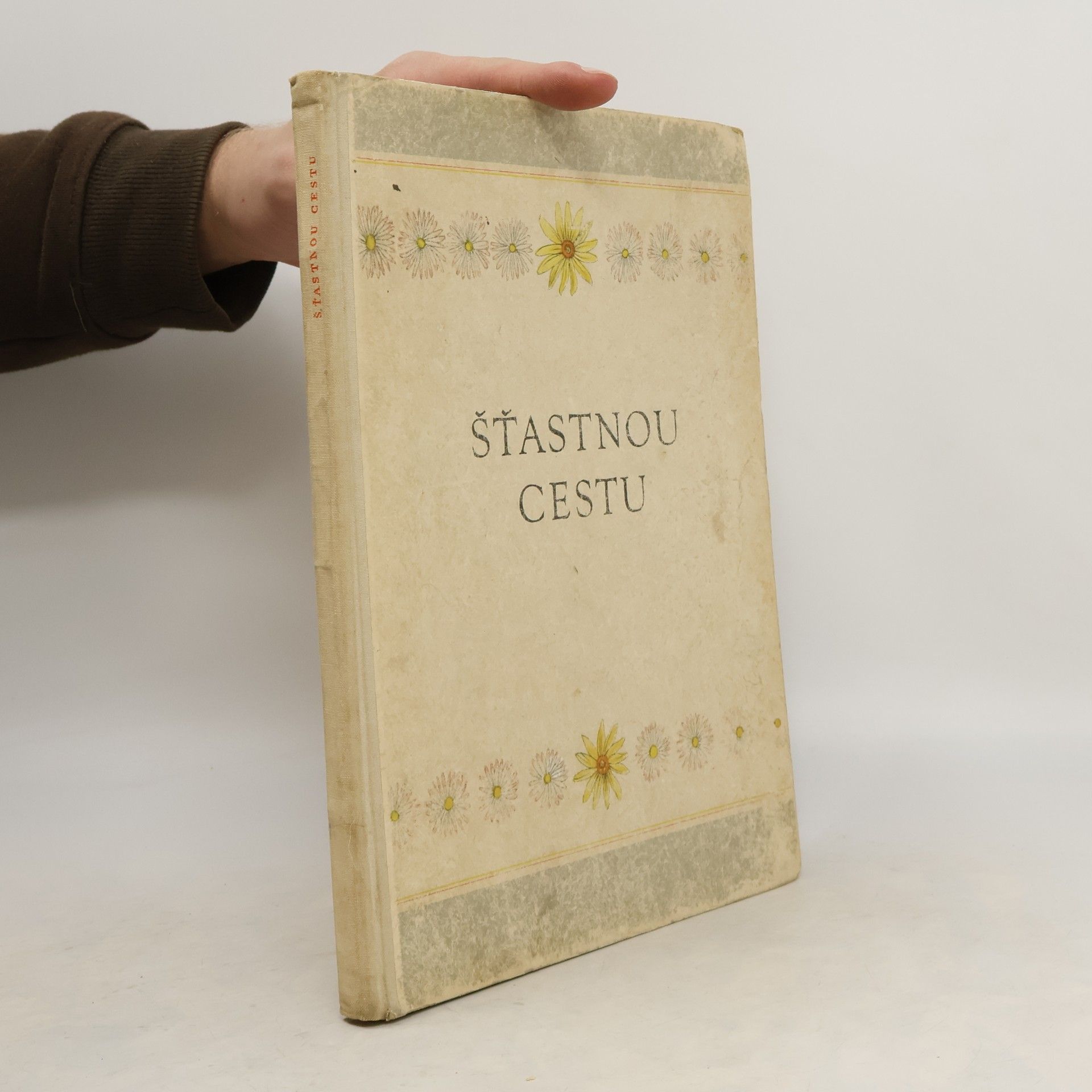 Kolektiv autorů Šťastnou cestu