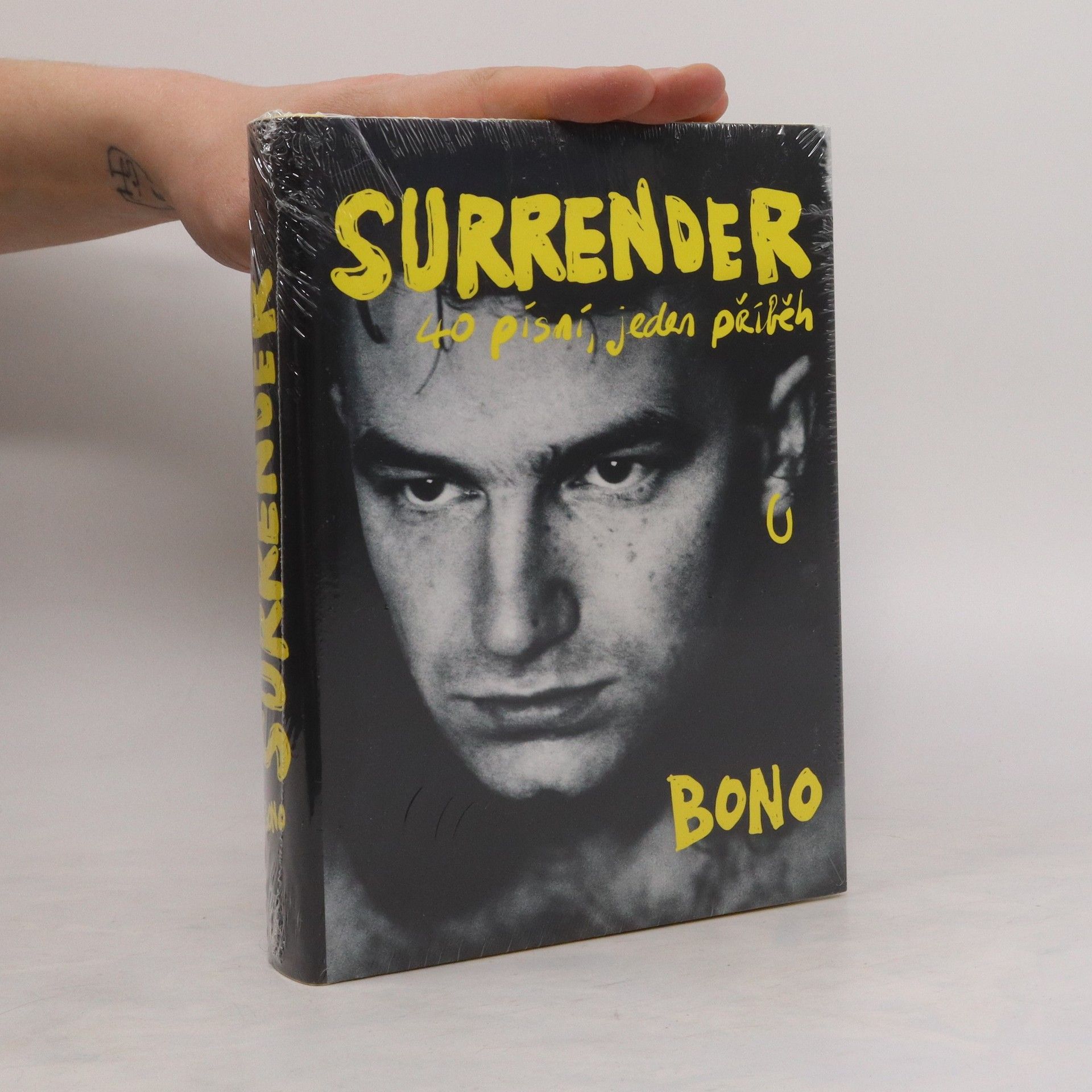 Bono Surrender : 40 písní, jeden příběh