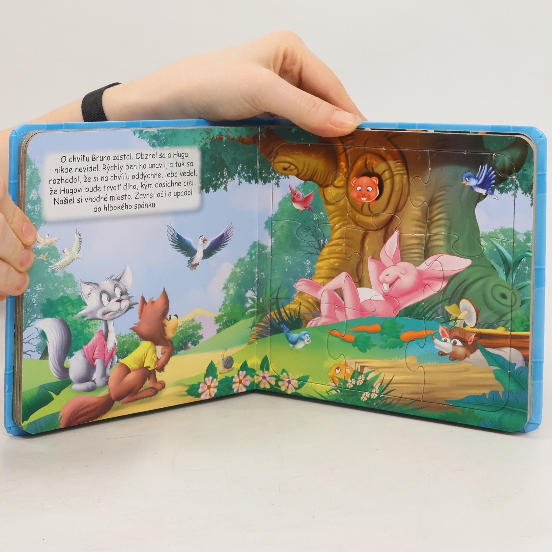 Autores varios Zajac a korytnačka puzzle