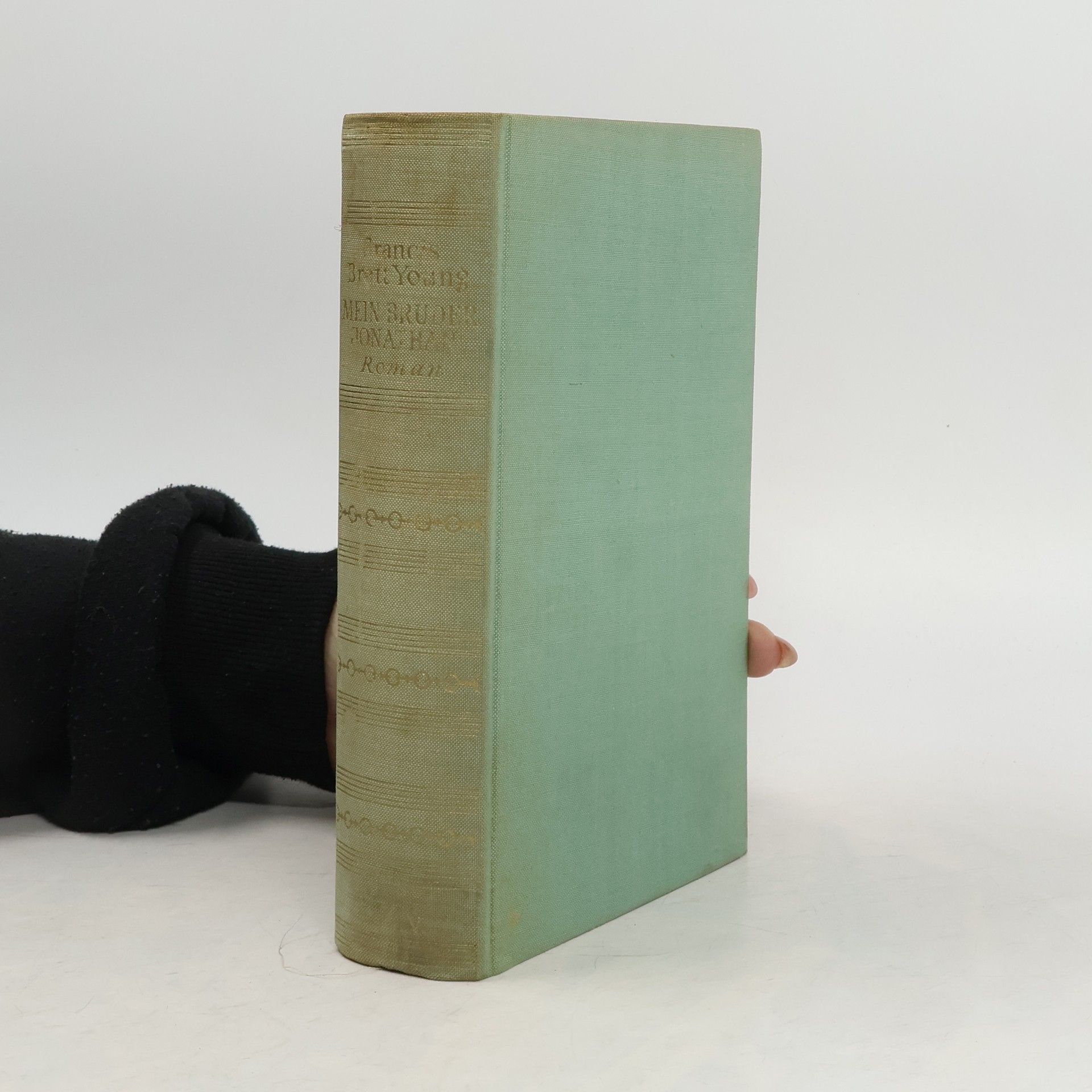 Francis Brett Young Mein Bruder Jonathan