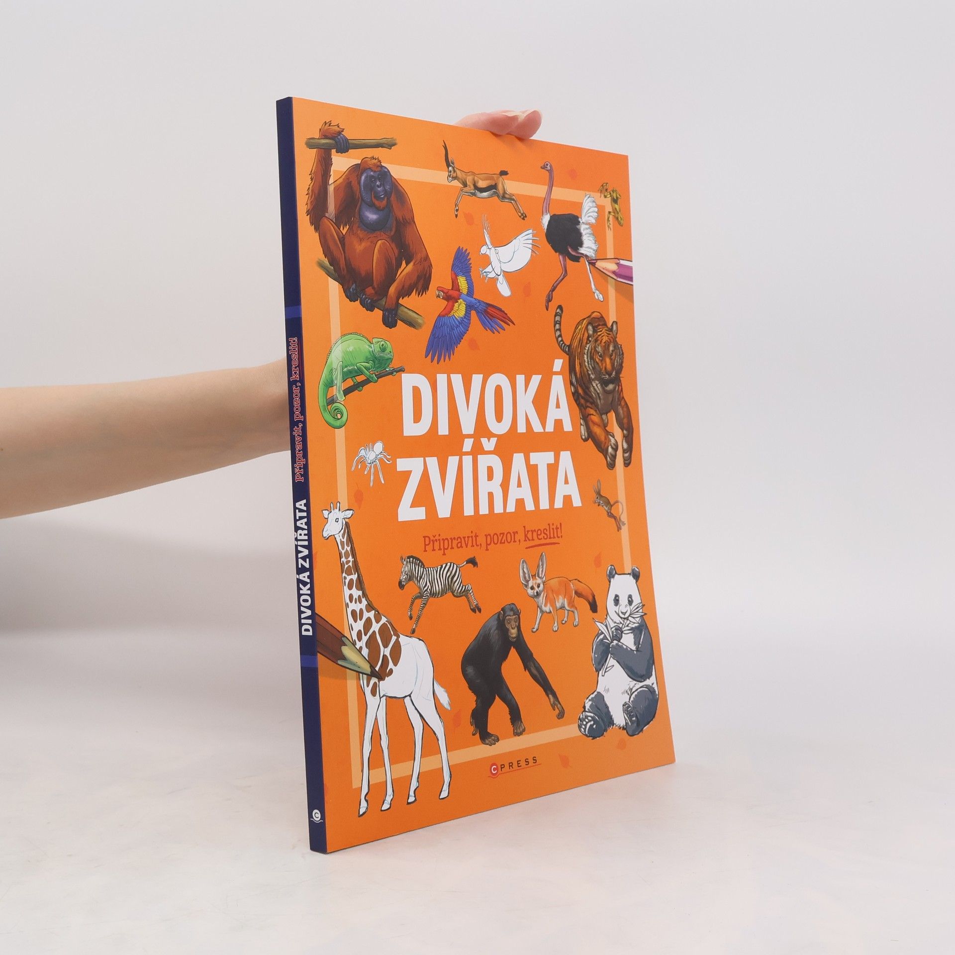 William Potter Divoká zvířata: Připravit, pozor, kreslit!