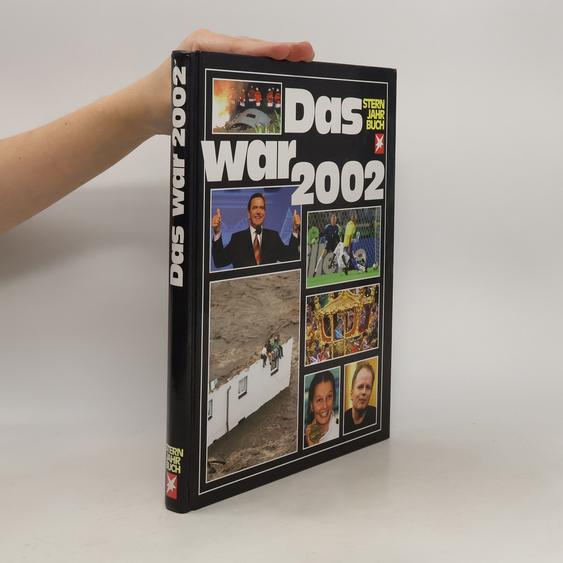 Autorenkollektiv Das war 2002