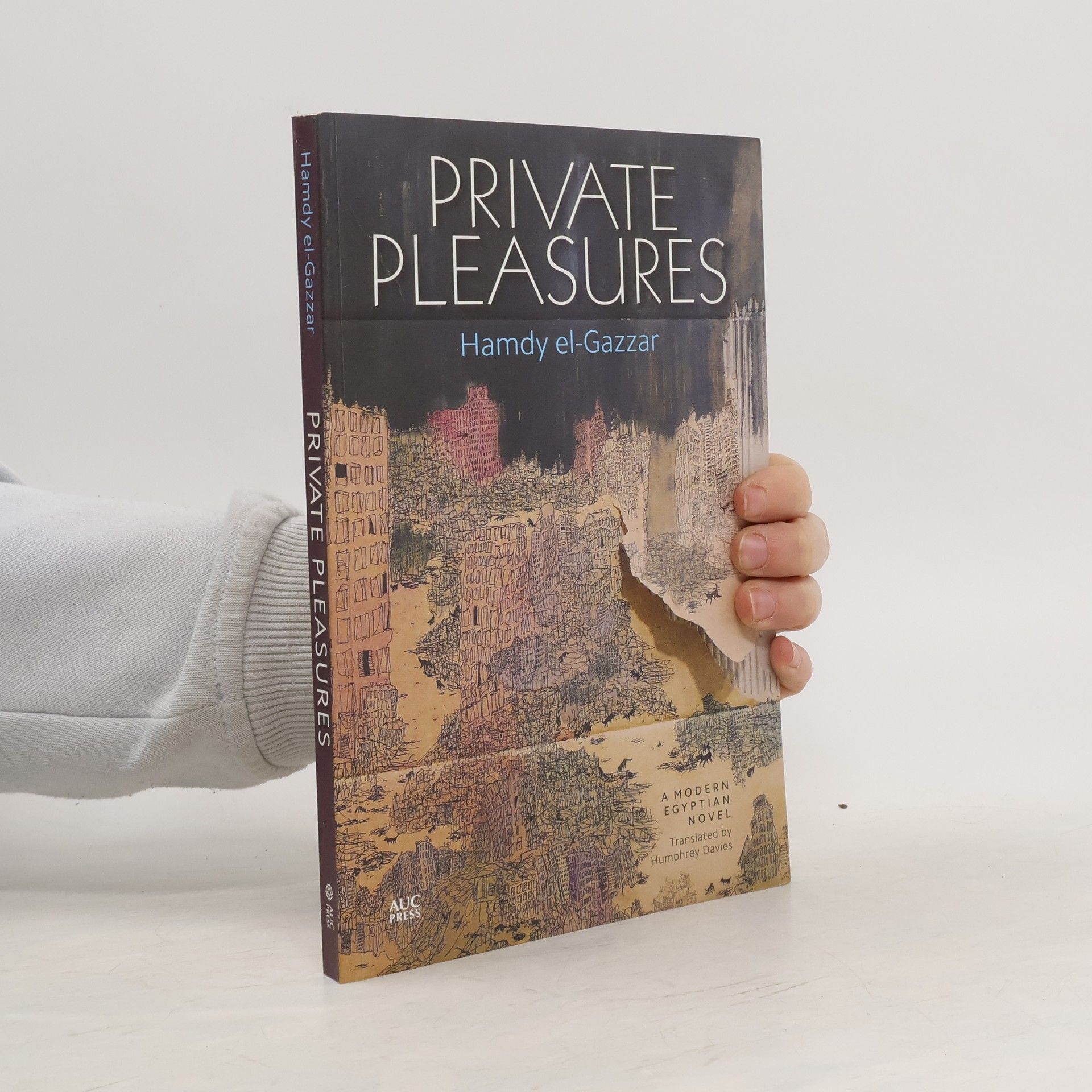 Hamdy el-Gazzar  Private Pleasures