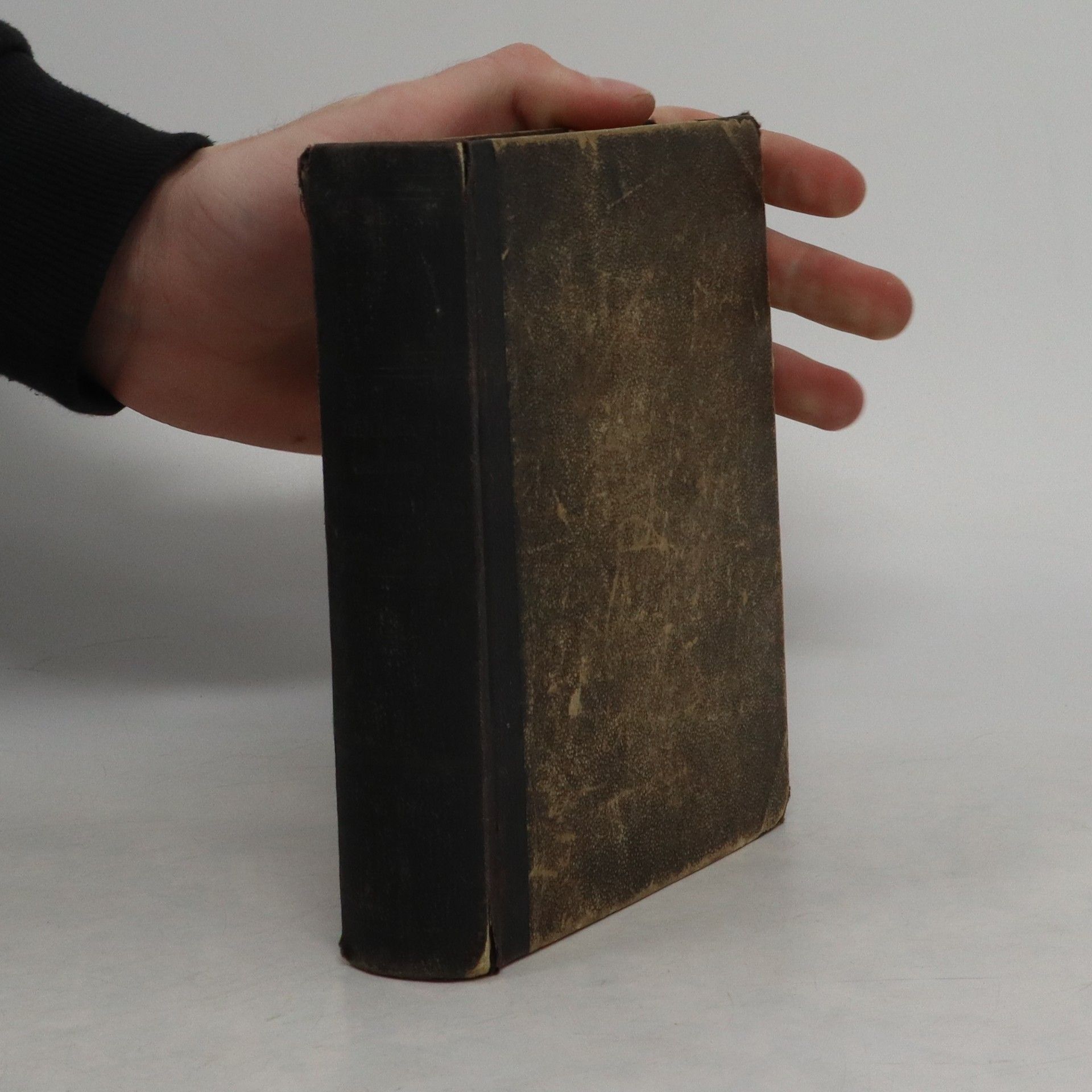 Kolektiv autorů Záhadný cizinec