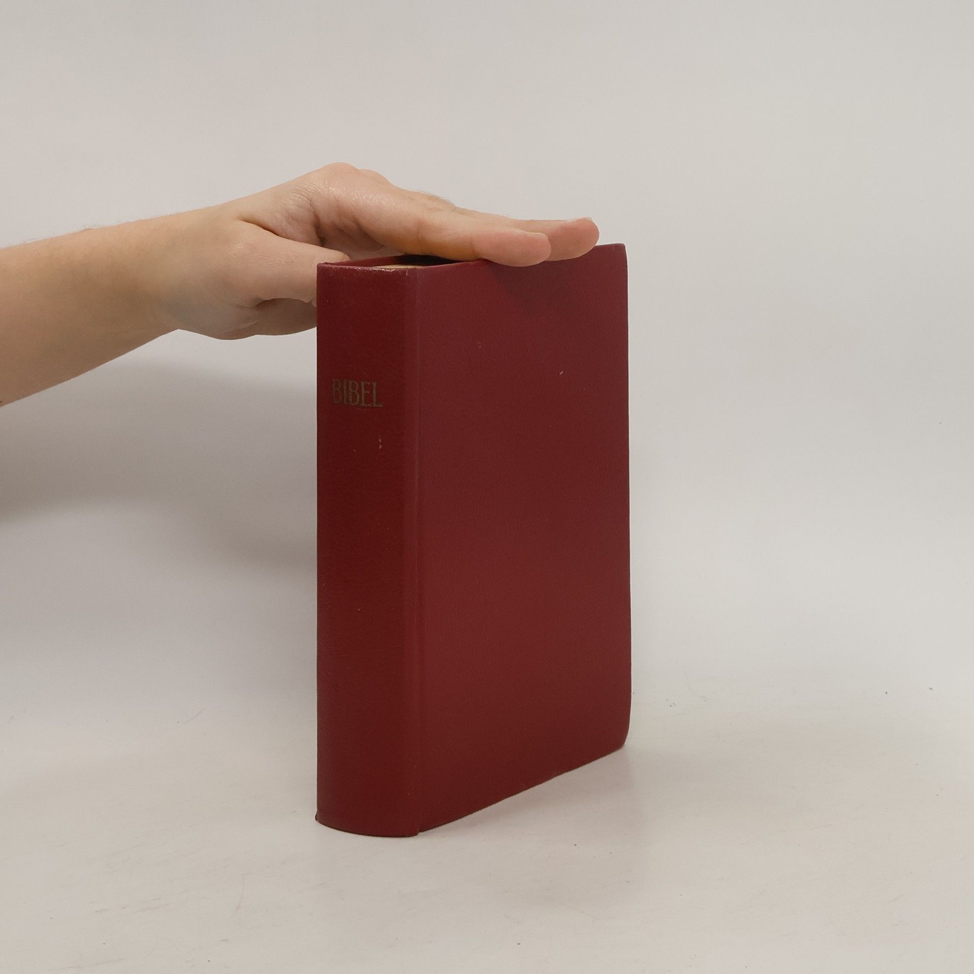 Kolektiv autorů Bibel