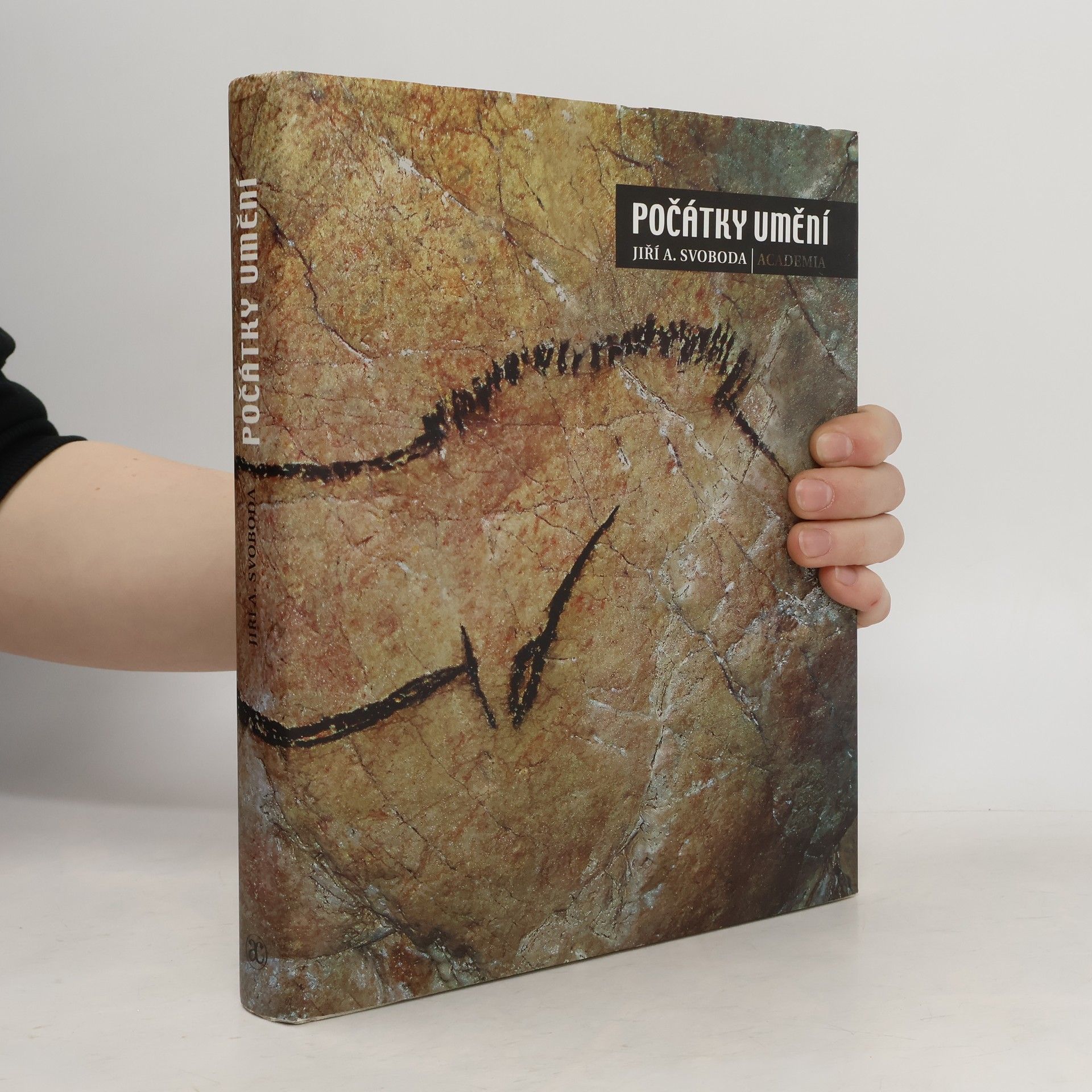 Jiří A. Svoboda Počátky umění