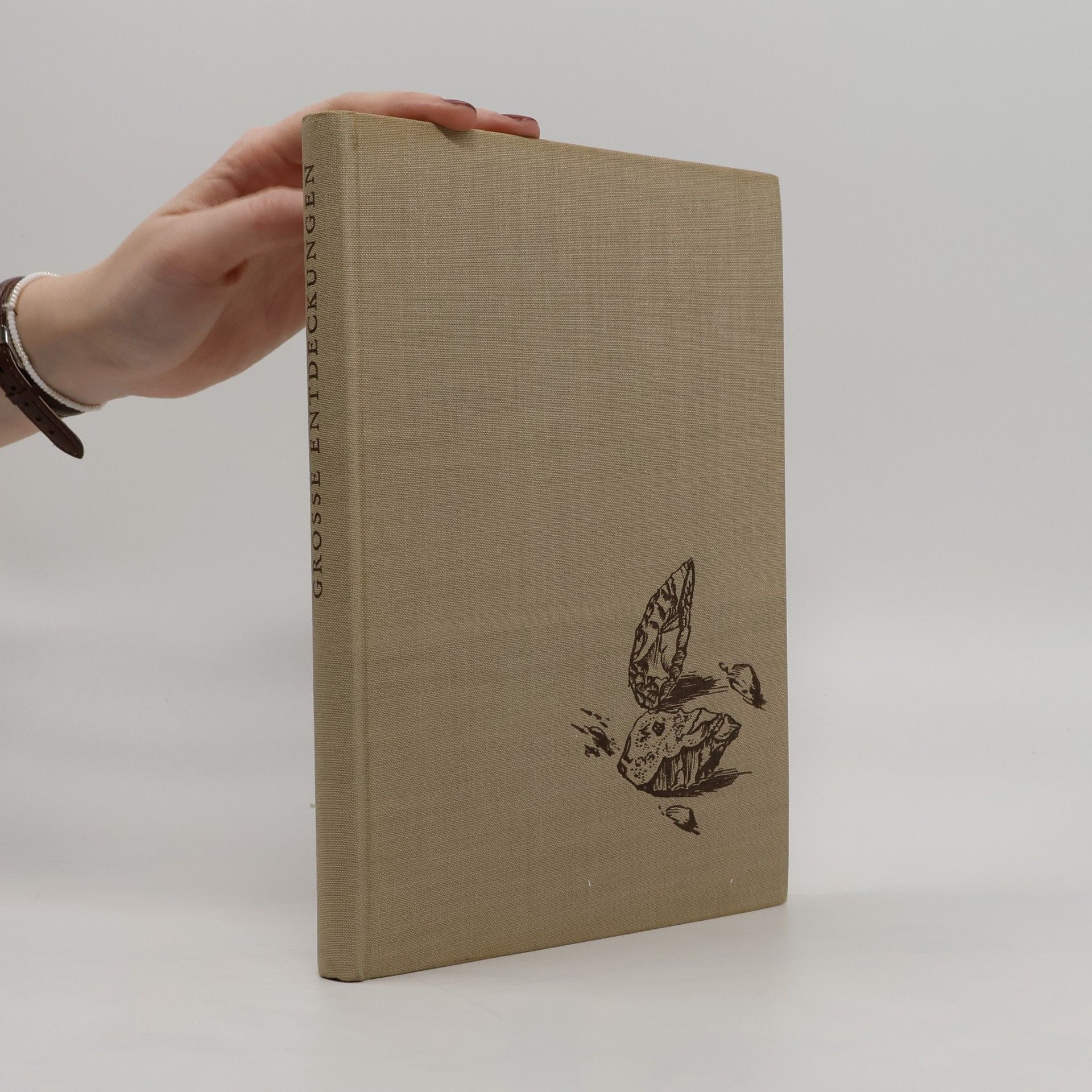 Autorenkollektiv Grosse Entdeckungen