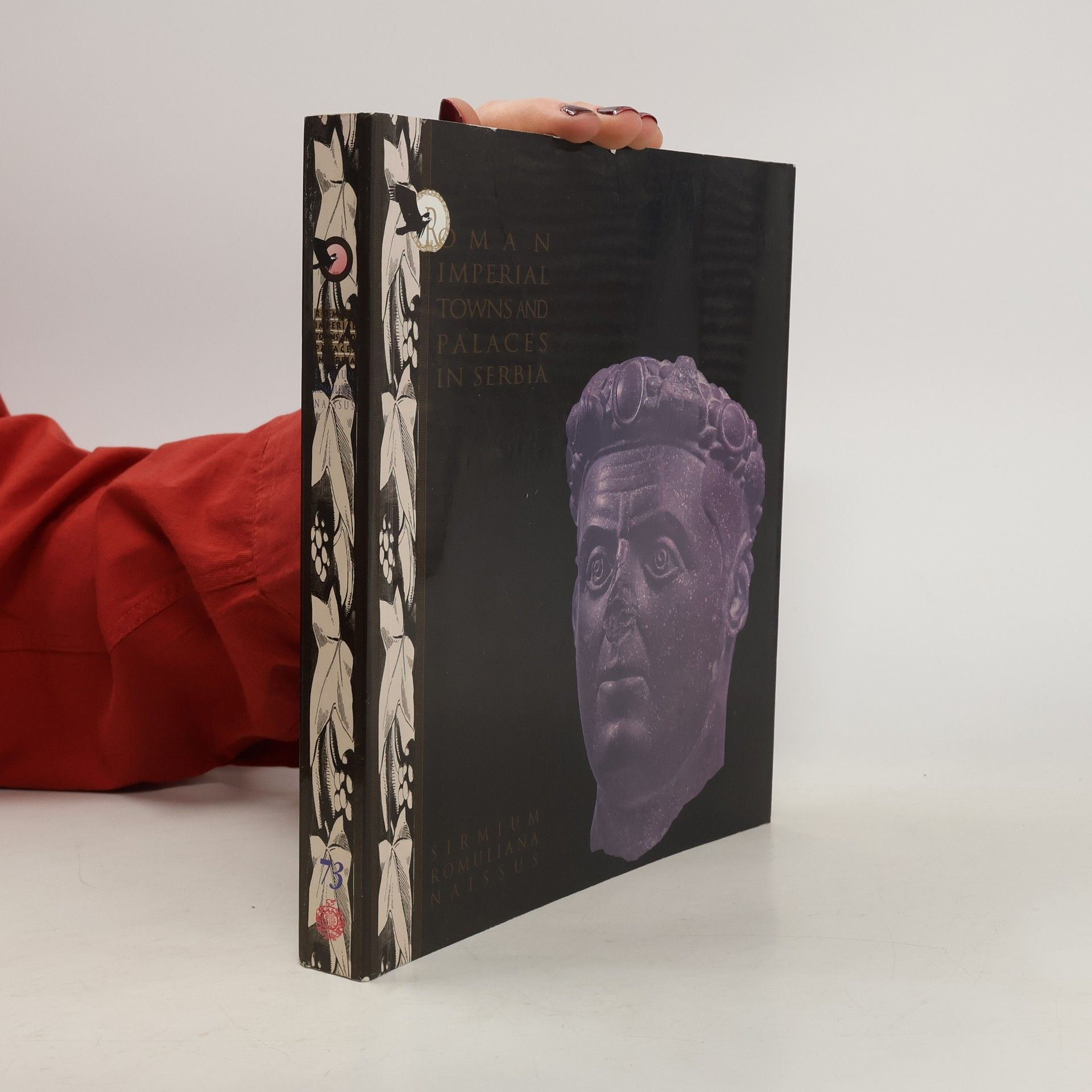 Kolektív autorov Roman Imperial Towns and Palaces in Serbia