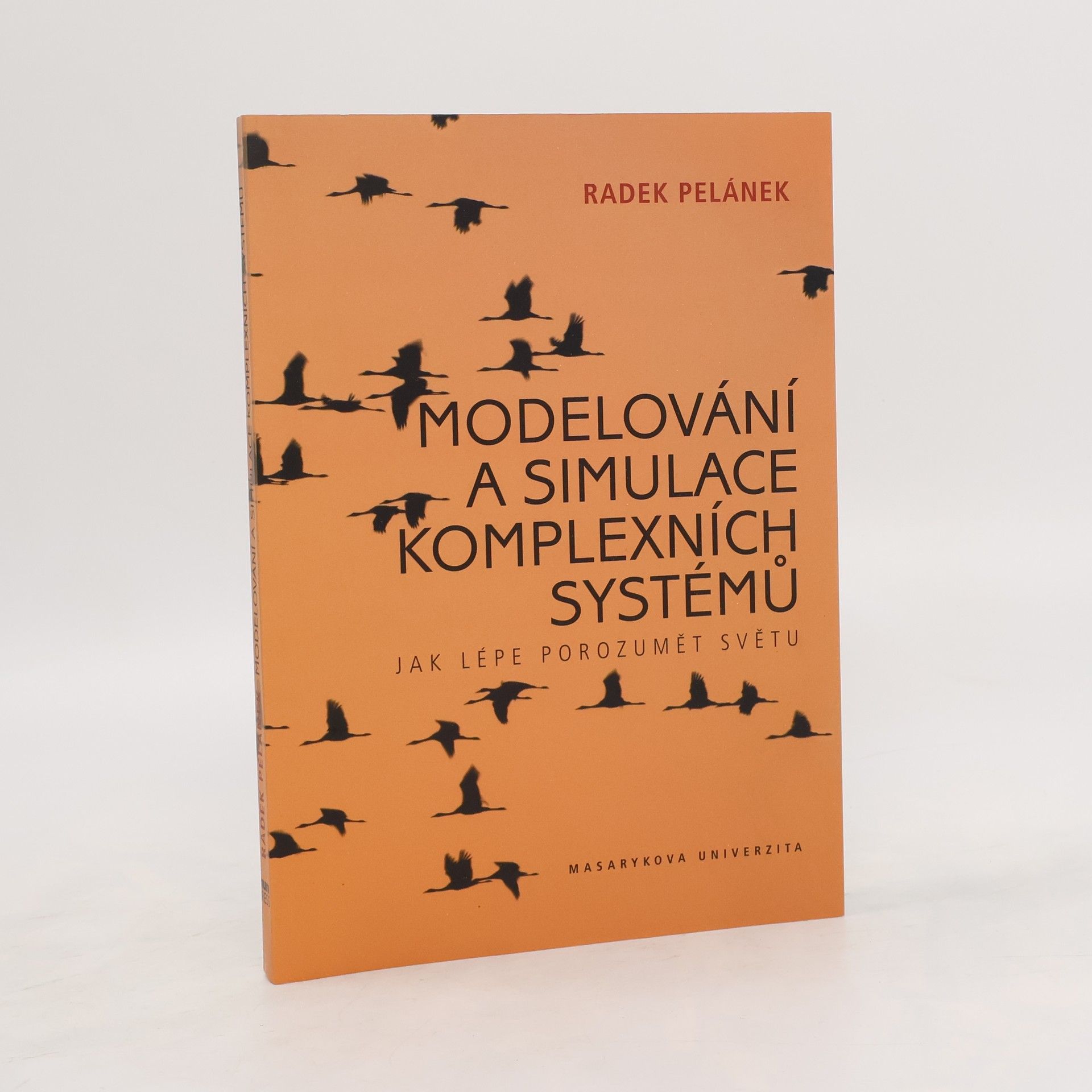 Radek Pelánek Modelování a simulace komplexních systémů