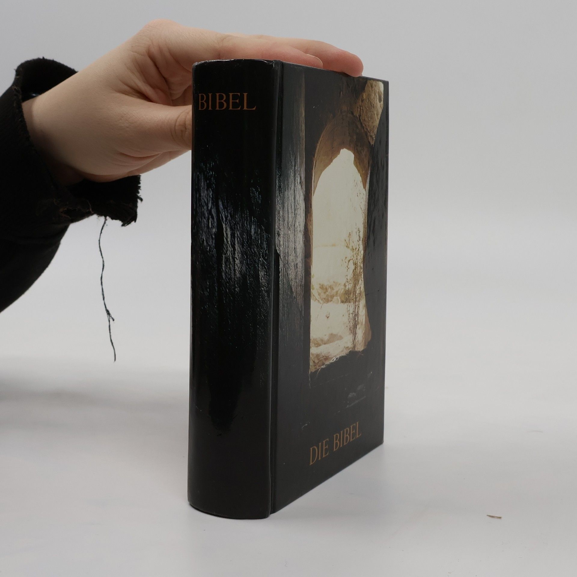 Autorenkollektiv Die Bibel