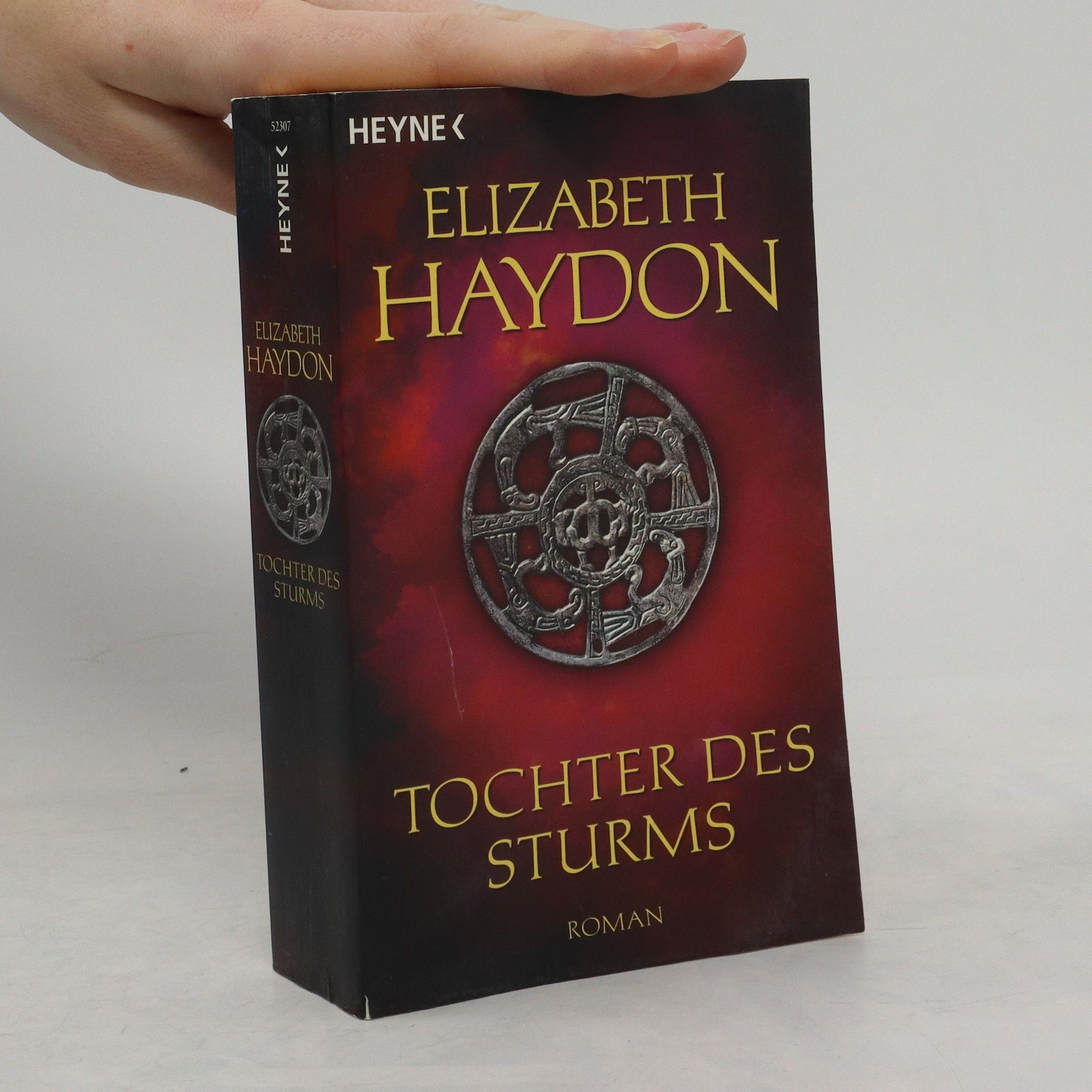 Elizabeth Haydon Tochter des Sturms