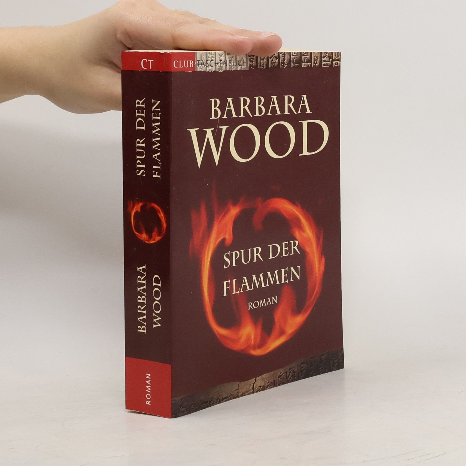 Barbara Wood Spur der Flammen