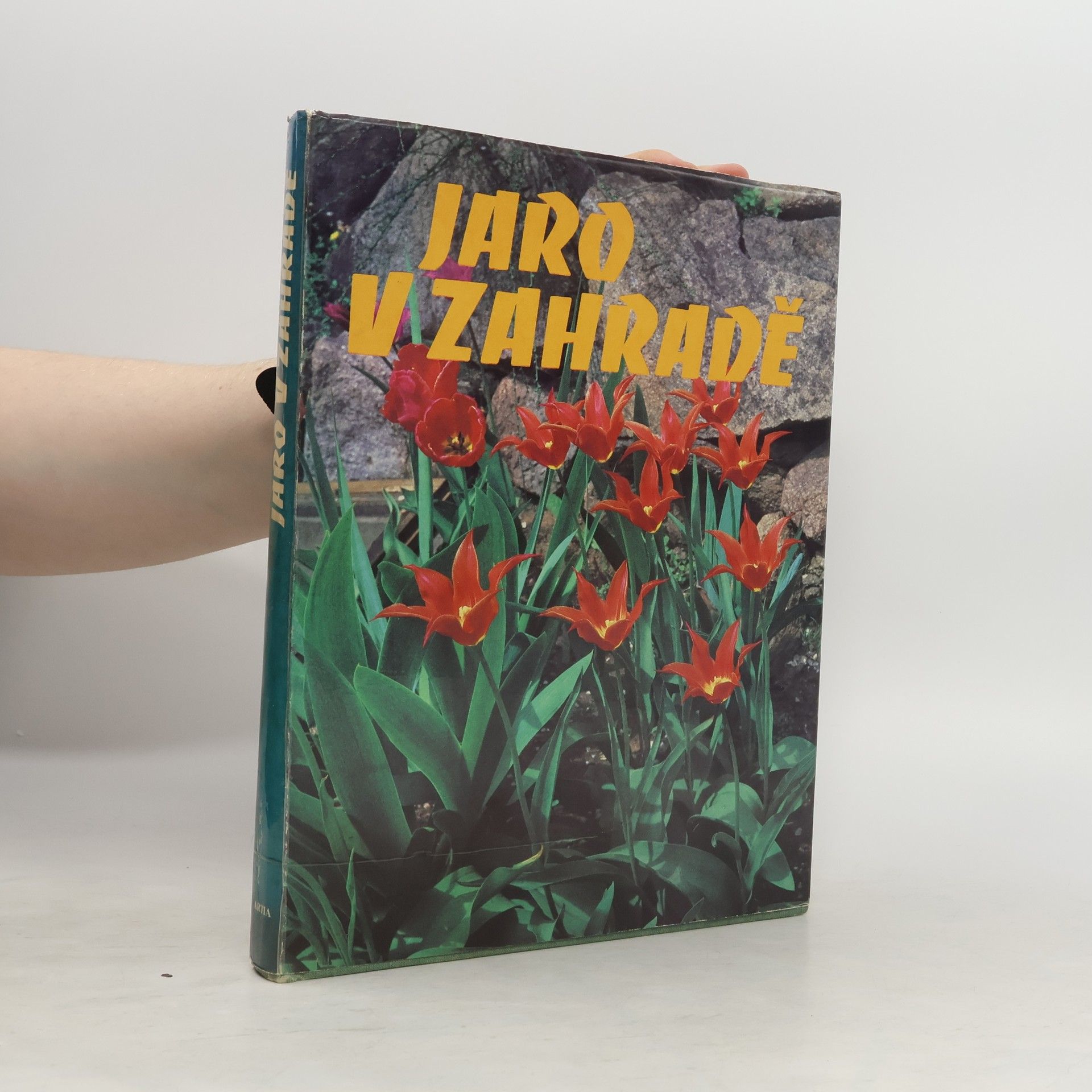 Autorenkollektiv Jaro v zahradě