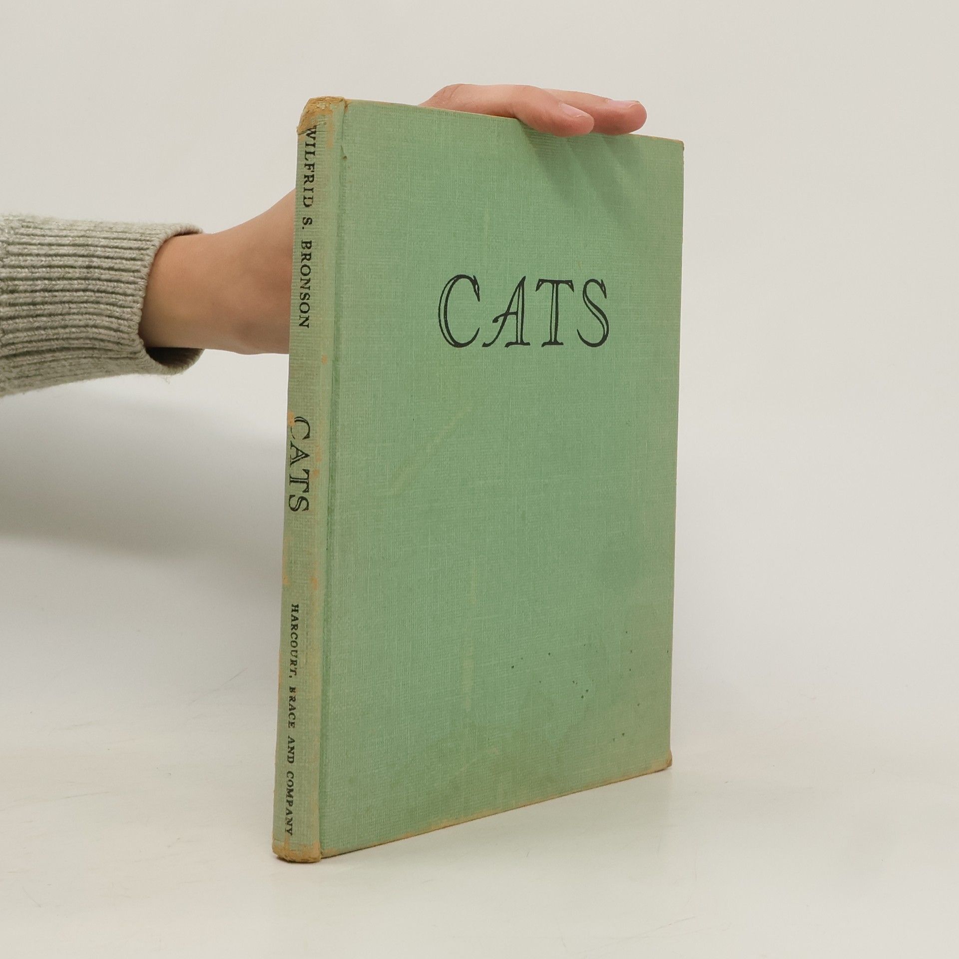 Cats