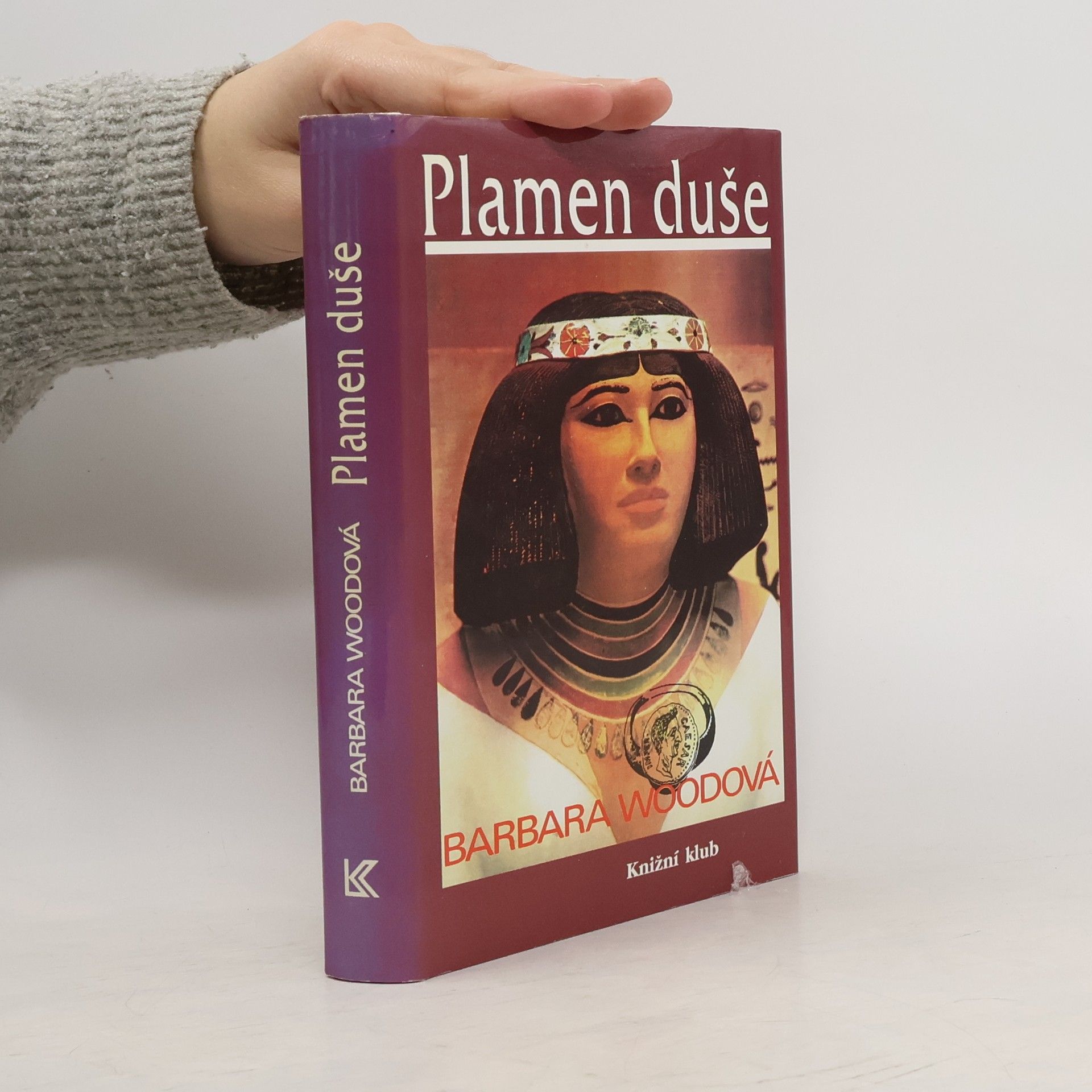 Barbara Wood Plamen duše