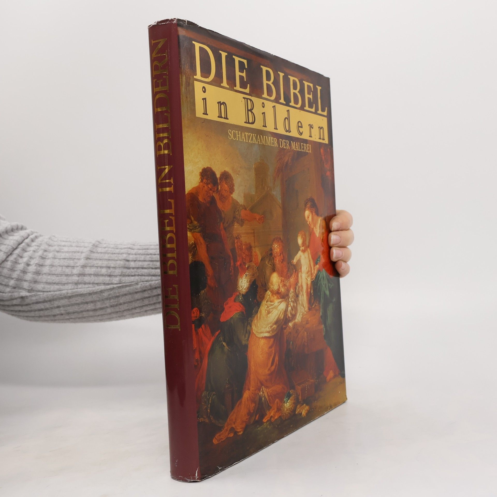 Collectif d'auteurs Die Bibel in Bildern. Schatzkammer der Malerei