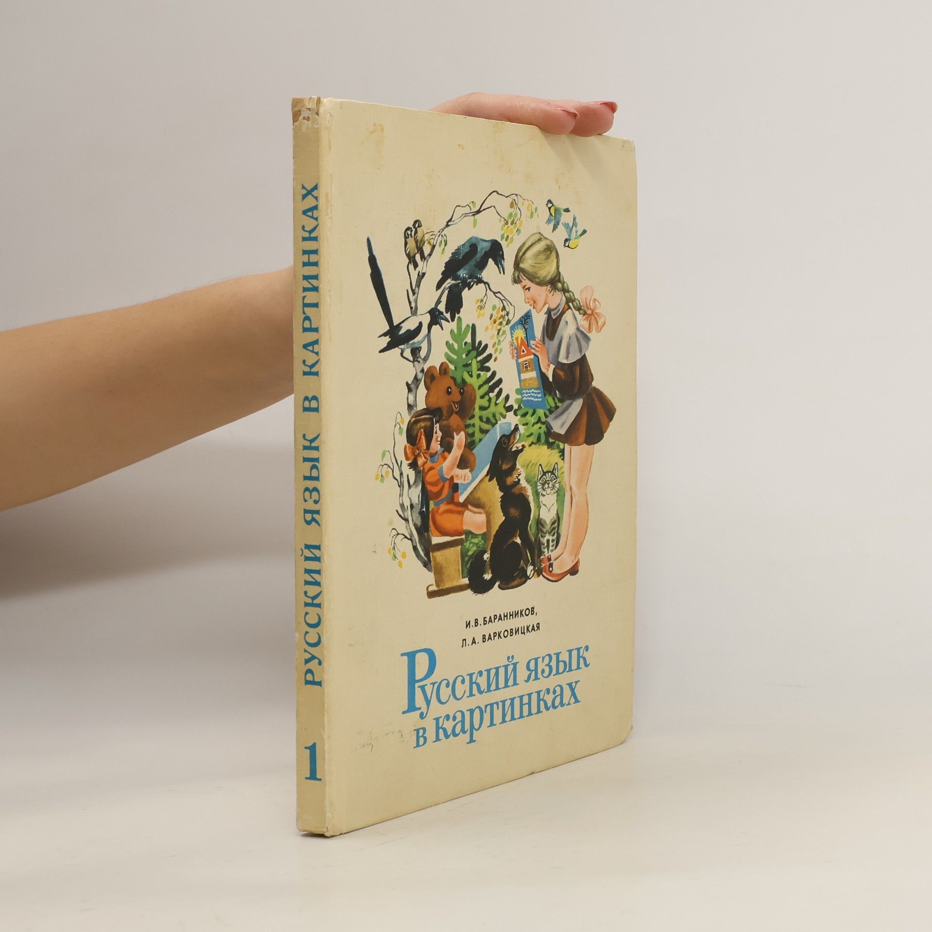 Autorenkollektiv Руский язык в картинках 1