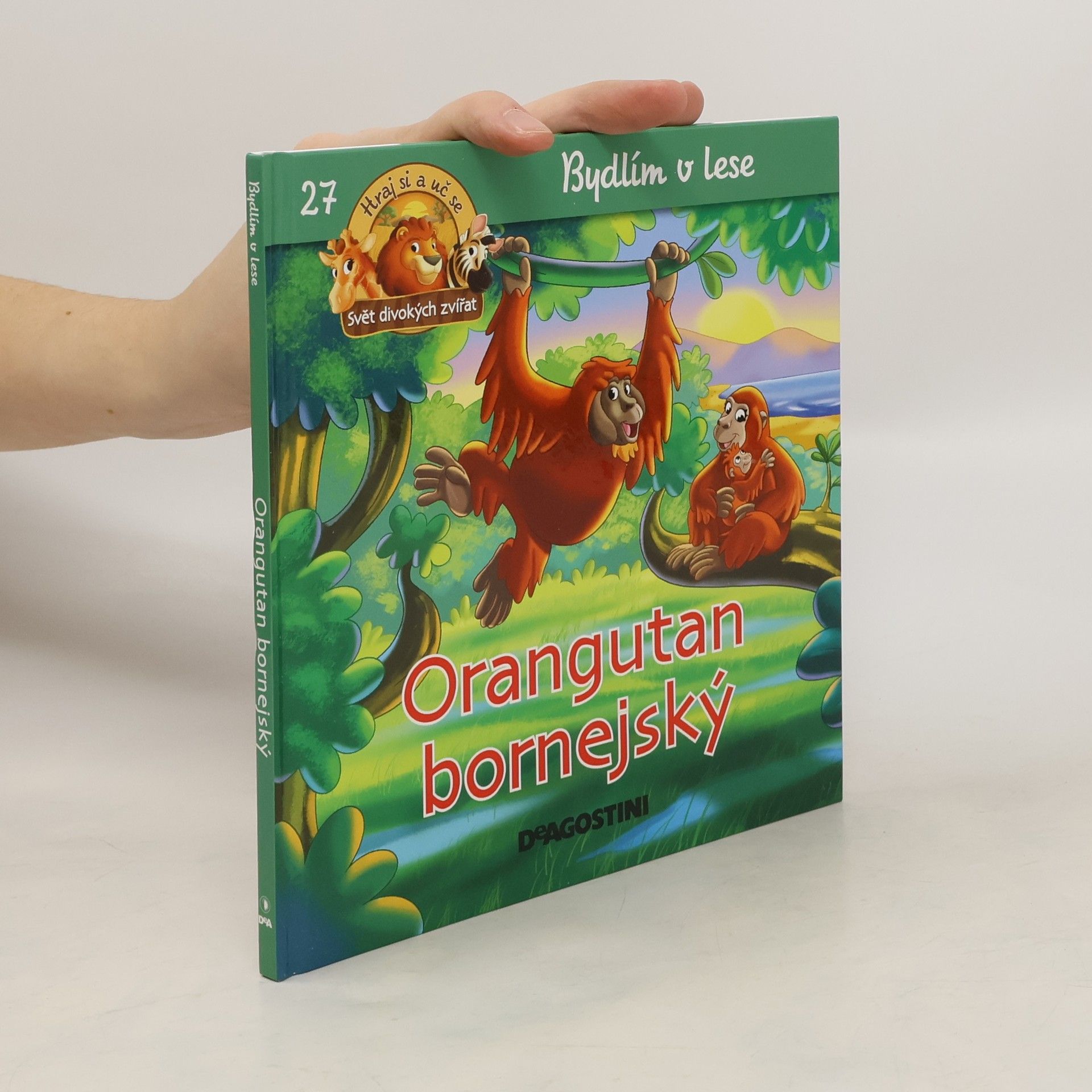 kolektiv Bydlím v lese 27. Orangutan bornejský