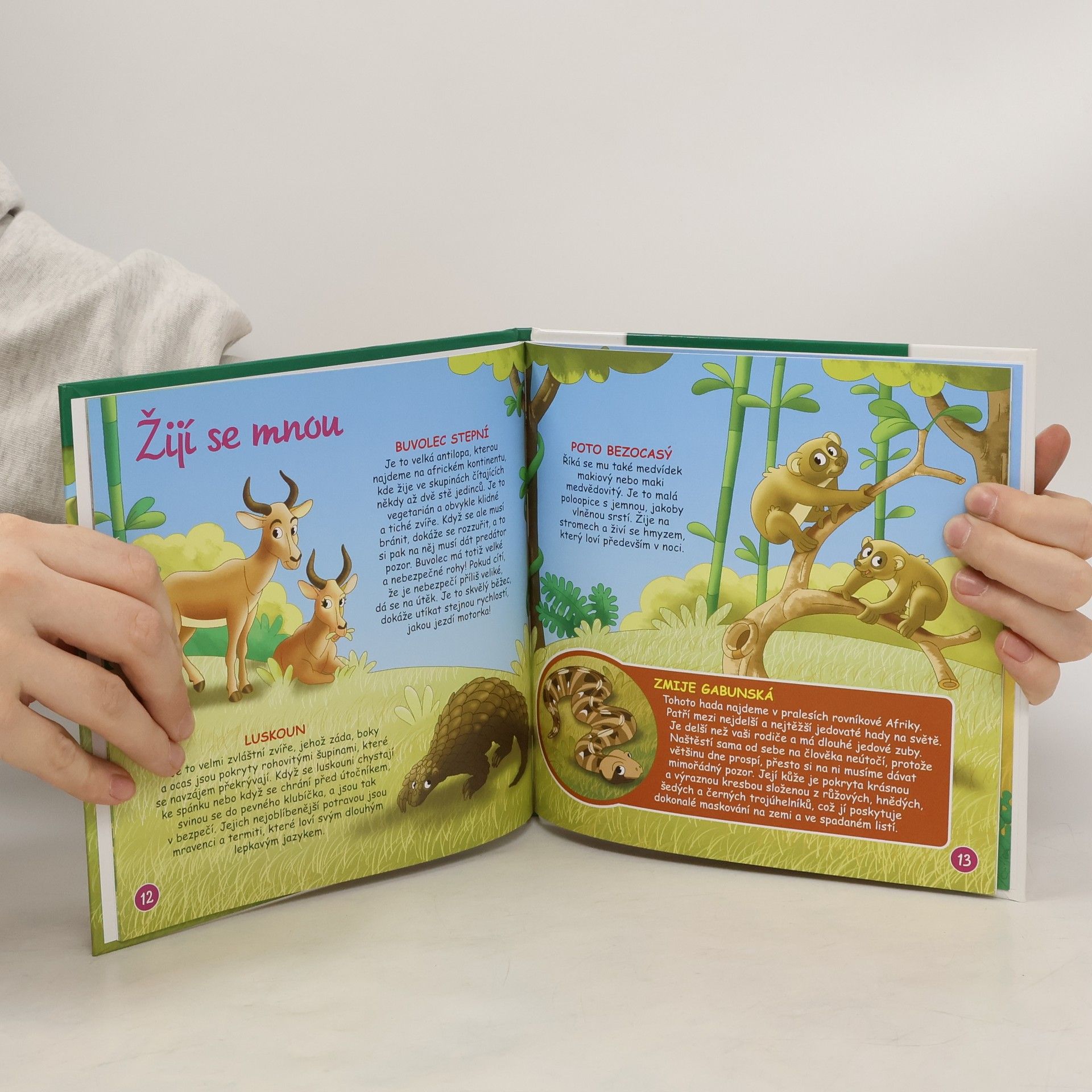 Autores varios Bydlím v lese 18. Gorila