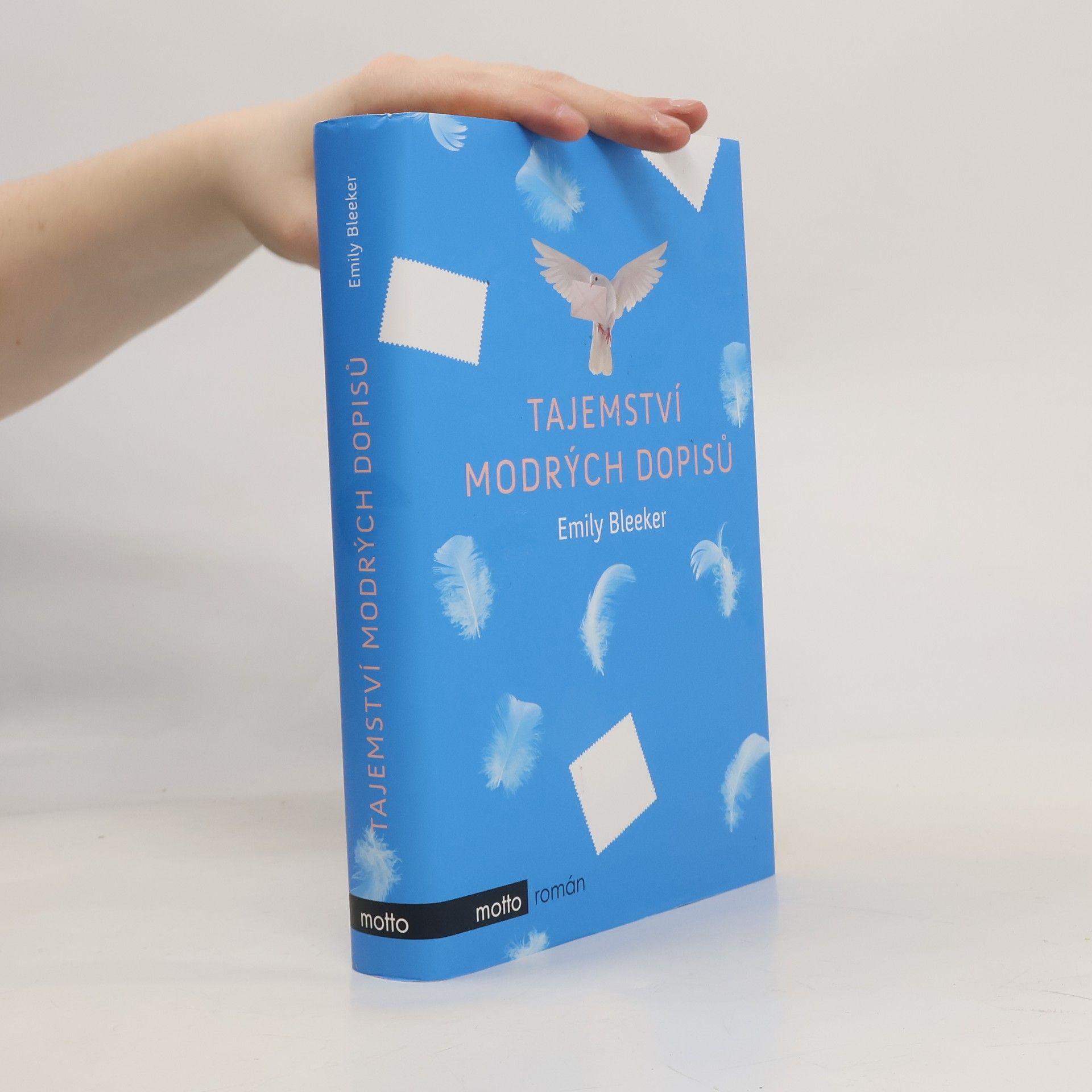 Emily Bleeker Tajemství modrých dopisů