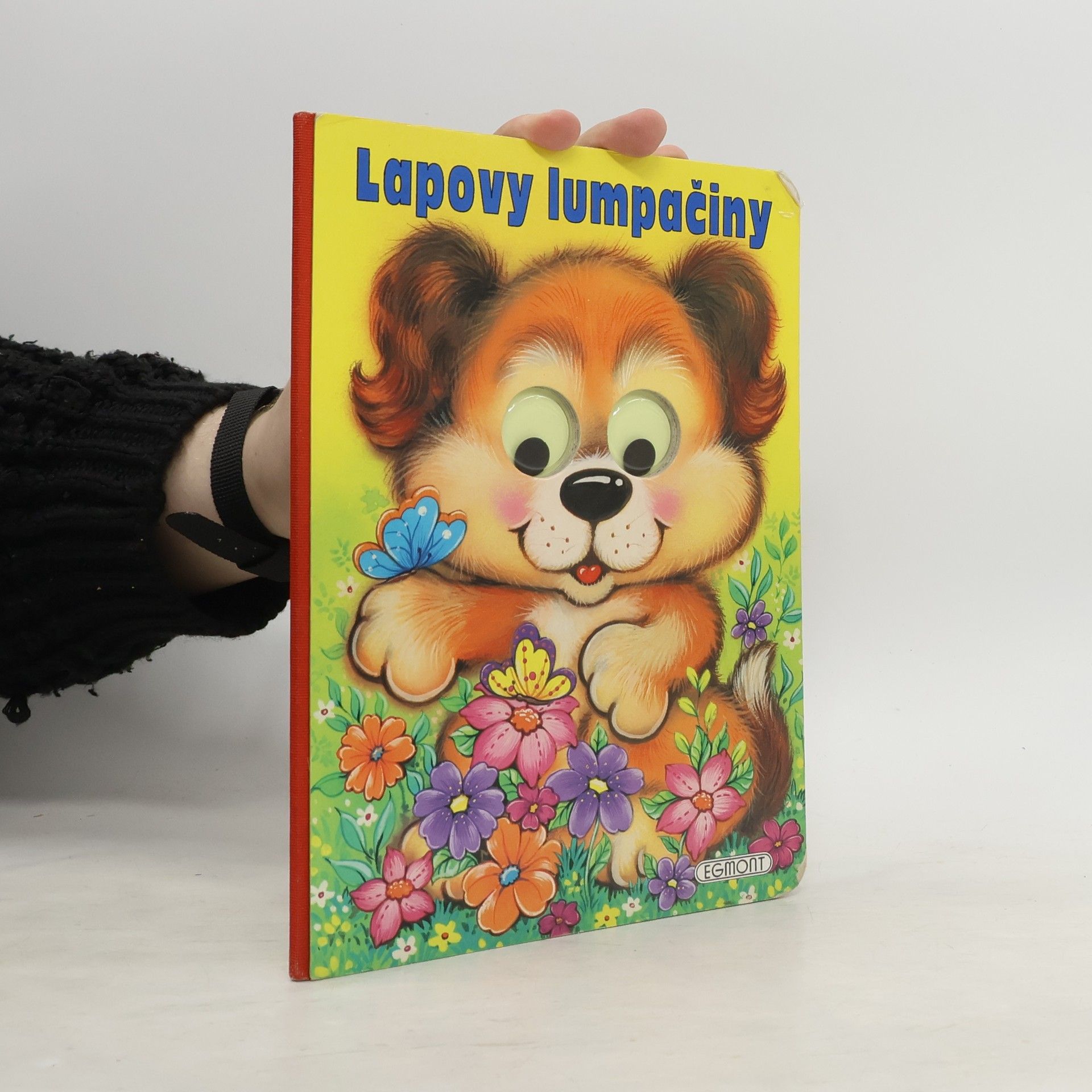 Collectif d'auteurs Lapovy lumpačiny