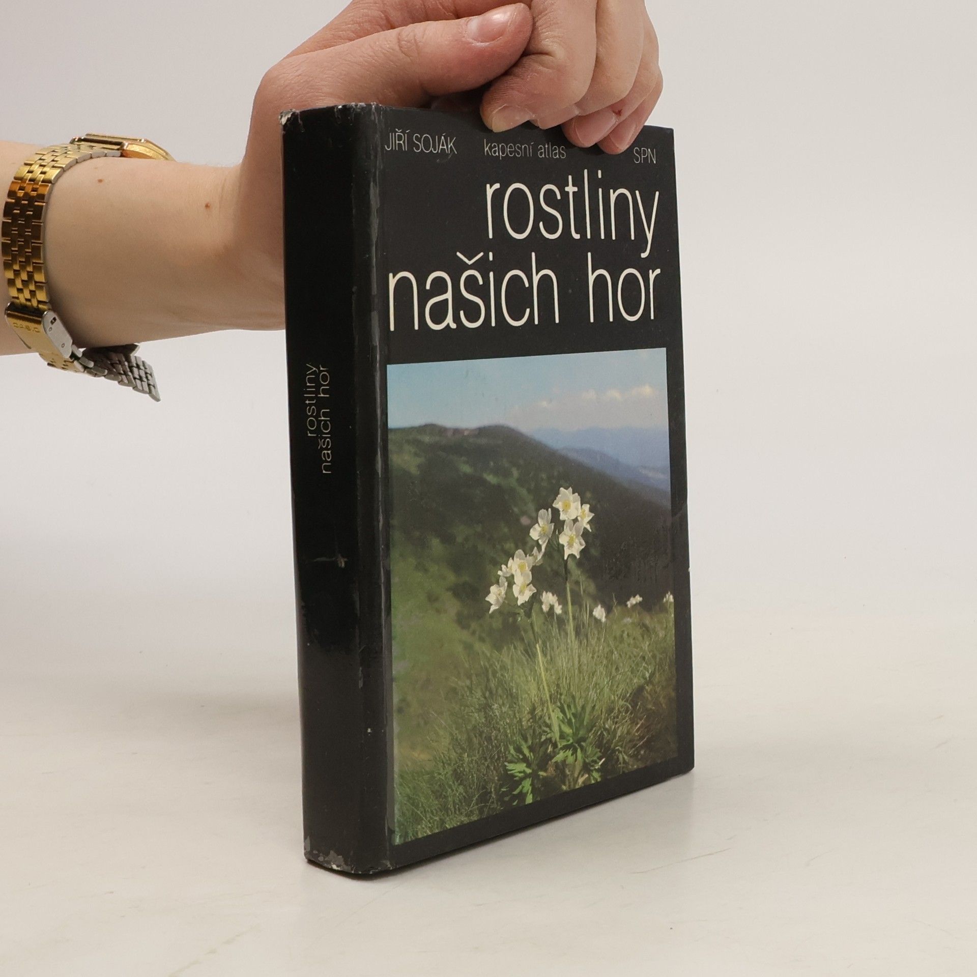 Rostliny našich hor