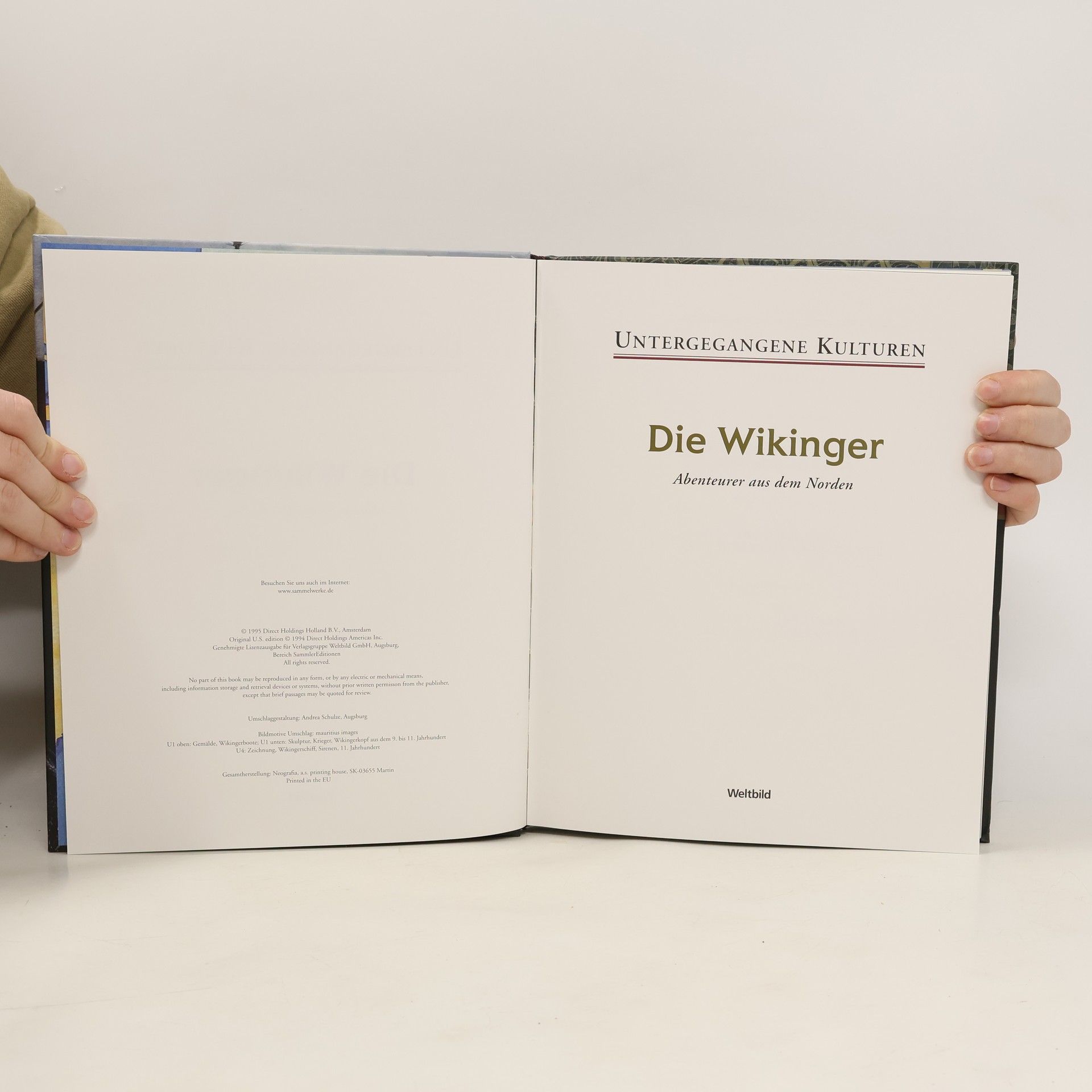 Kolektiv autorů Die Wikinger