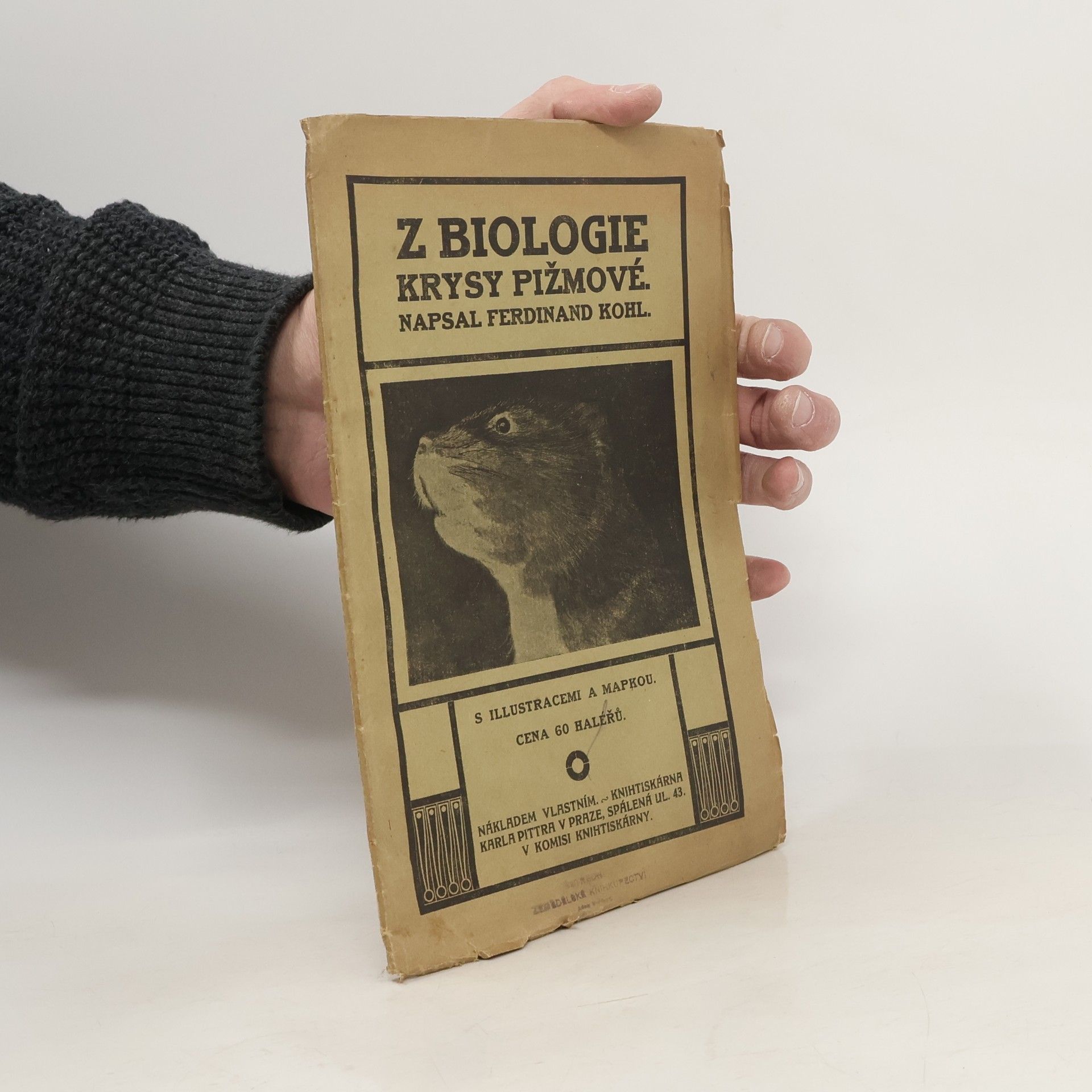 Ferdinand Kohl Z biologie krysy pižmové