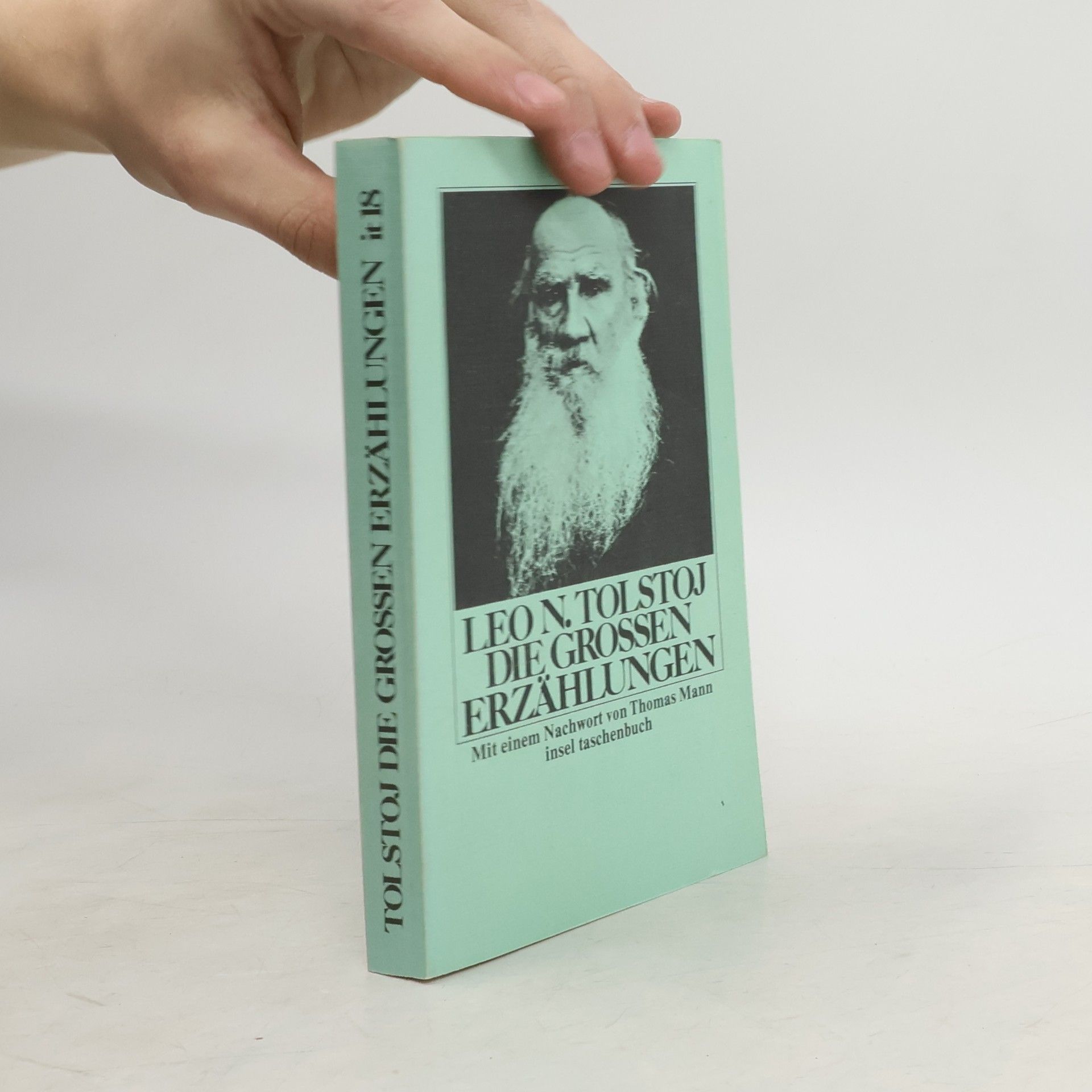 Lew Nikolajewitsch Tolstoi Die grossen Erzählungen