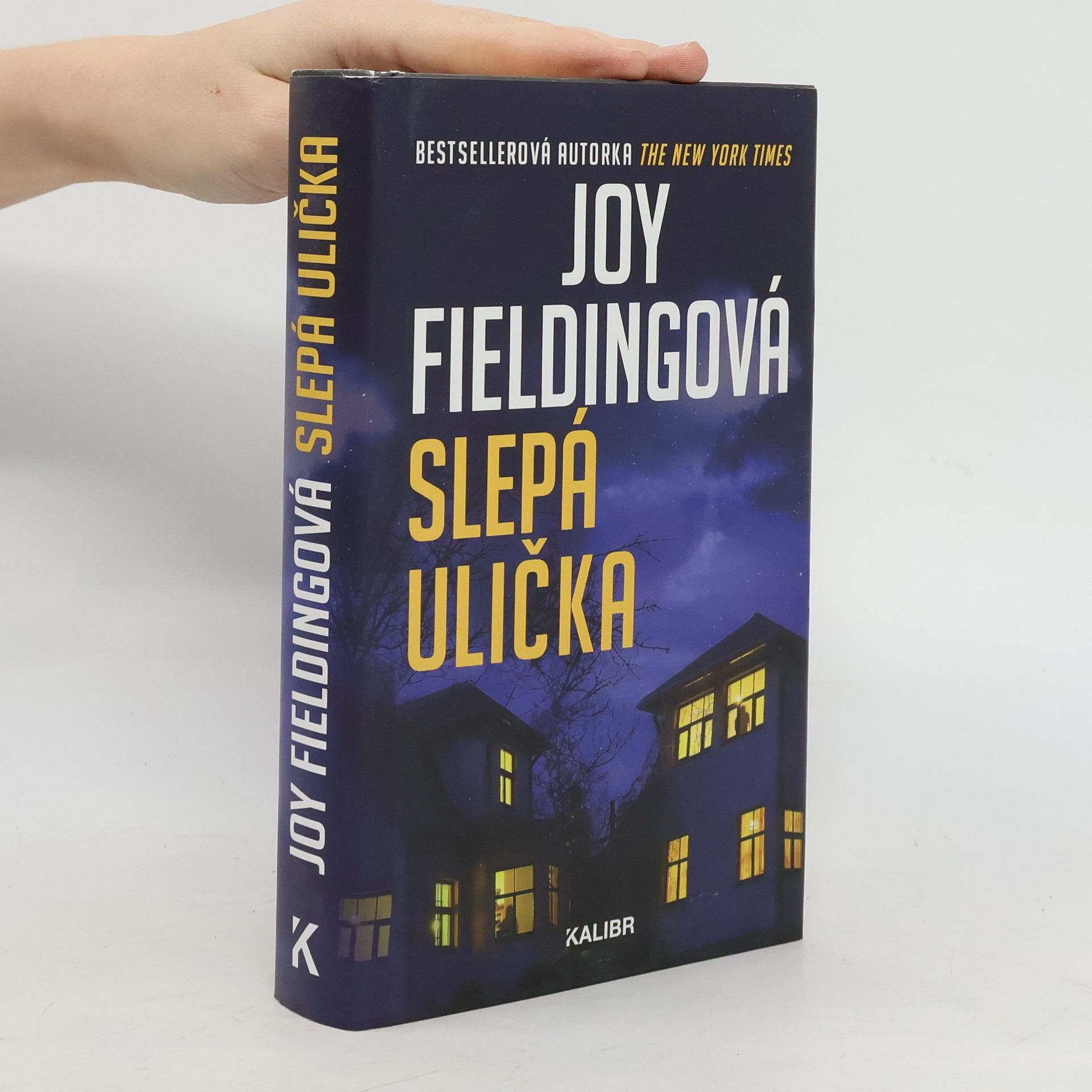 Joy Fielding Slepá ulička