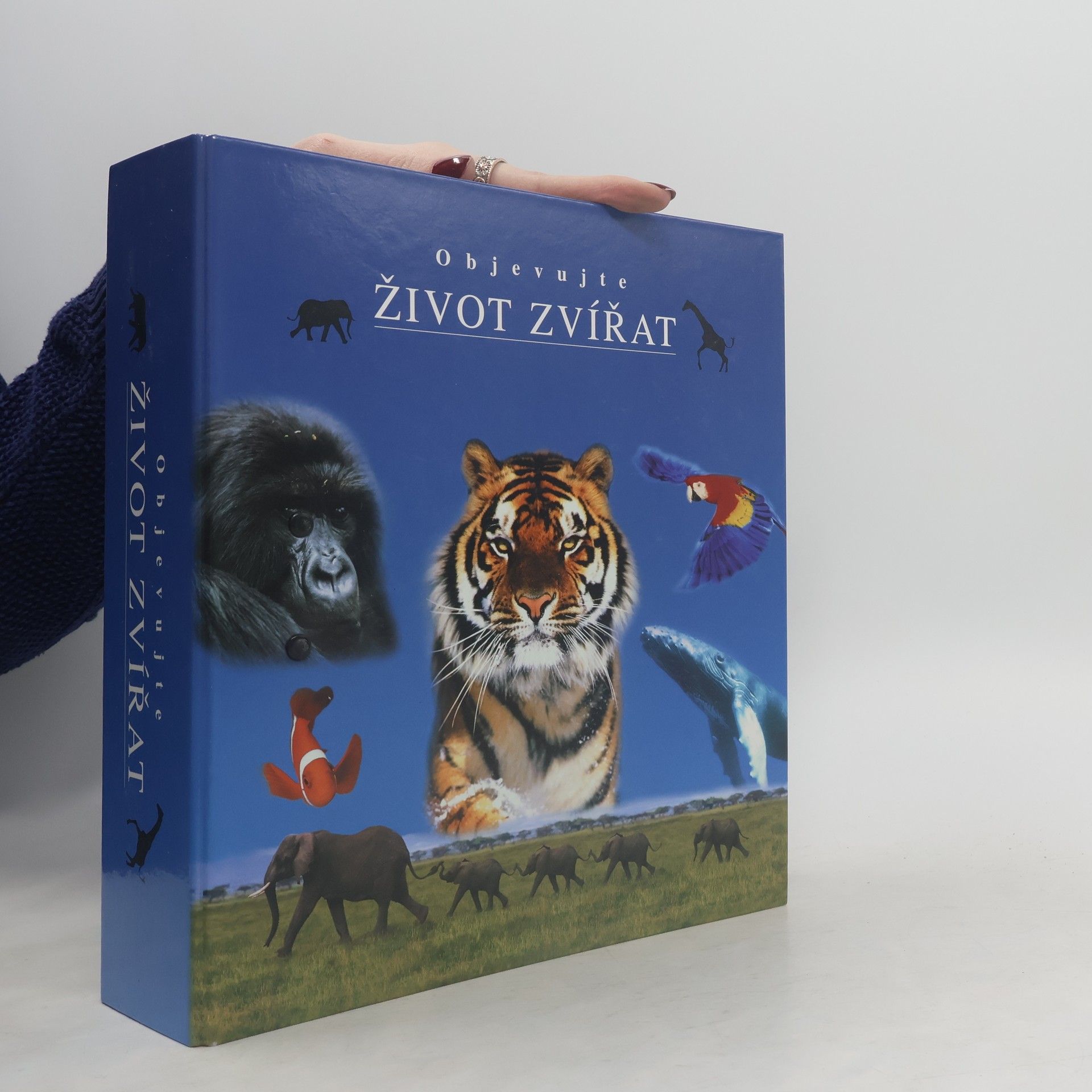 Auteurscollectief Objevujte život zvířat. Skupina 3-5