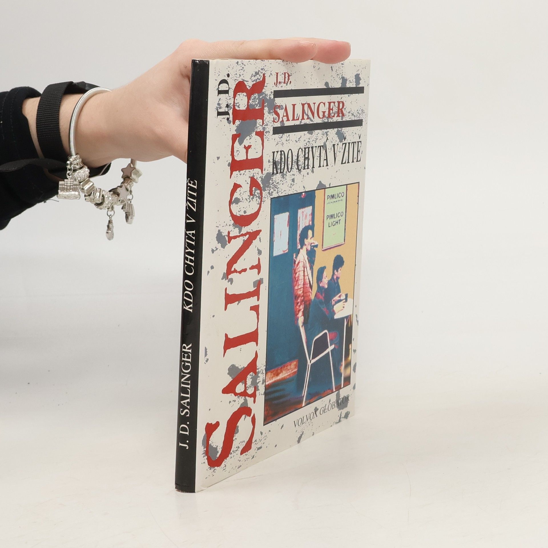J. D. Salinger Kdo chytá v žitě