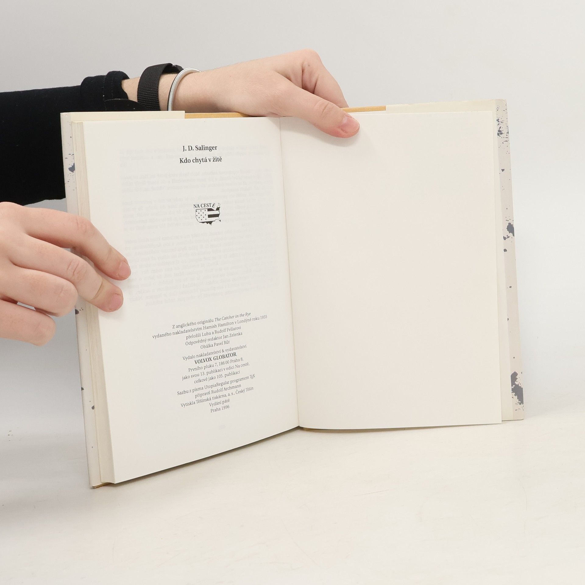J. D. Salinger Kdo chytá v žitě