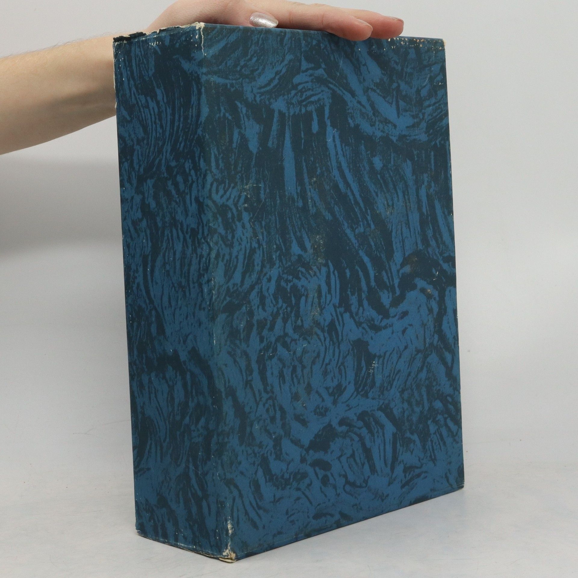 kolektiv Vincent van Gogh. Sämtliche Briefe 5. - 6.