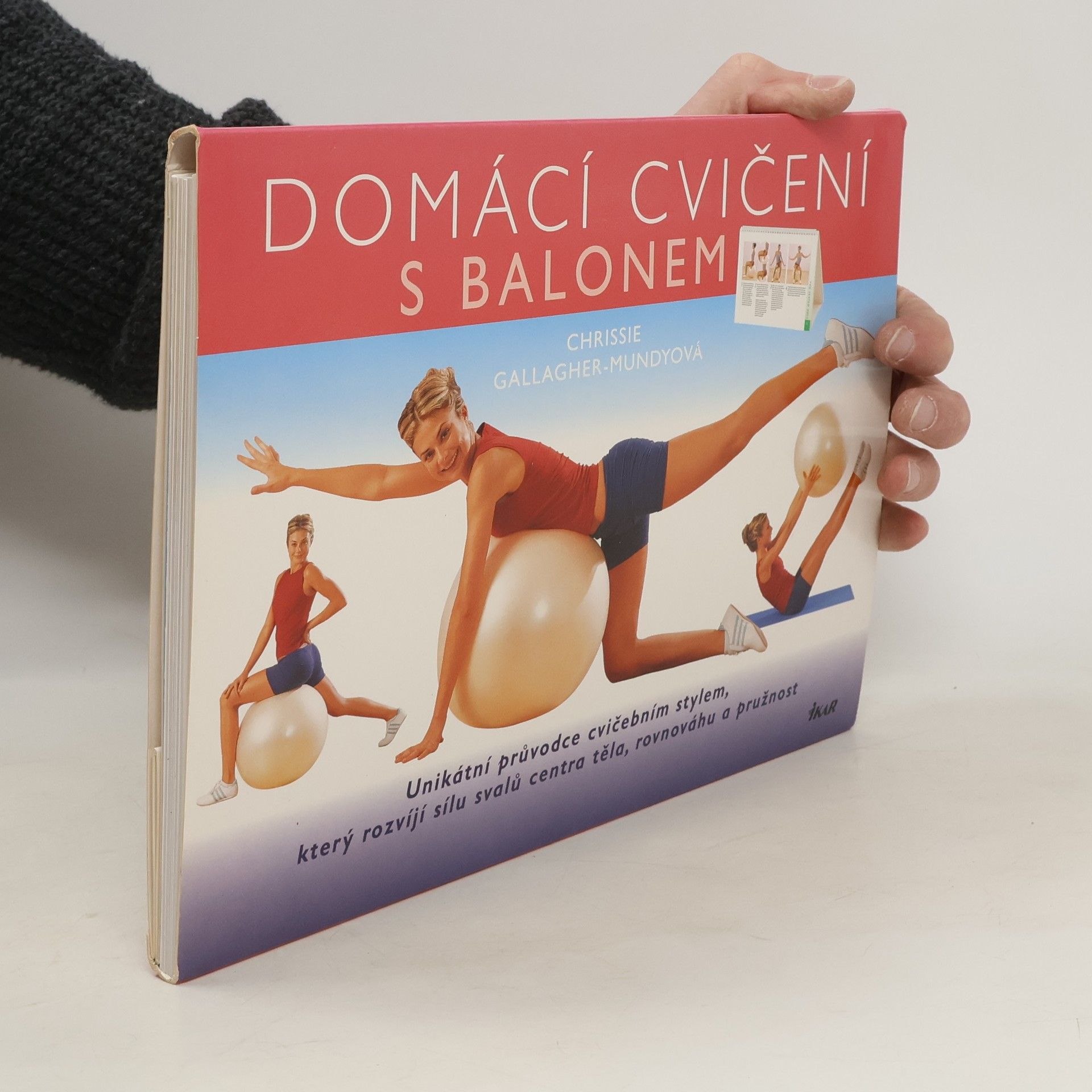 Chrissie Gallagher Mundy Domácí cvičení s balonem