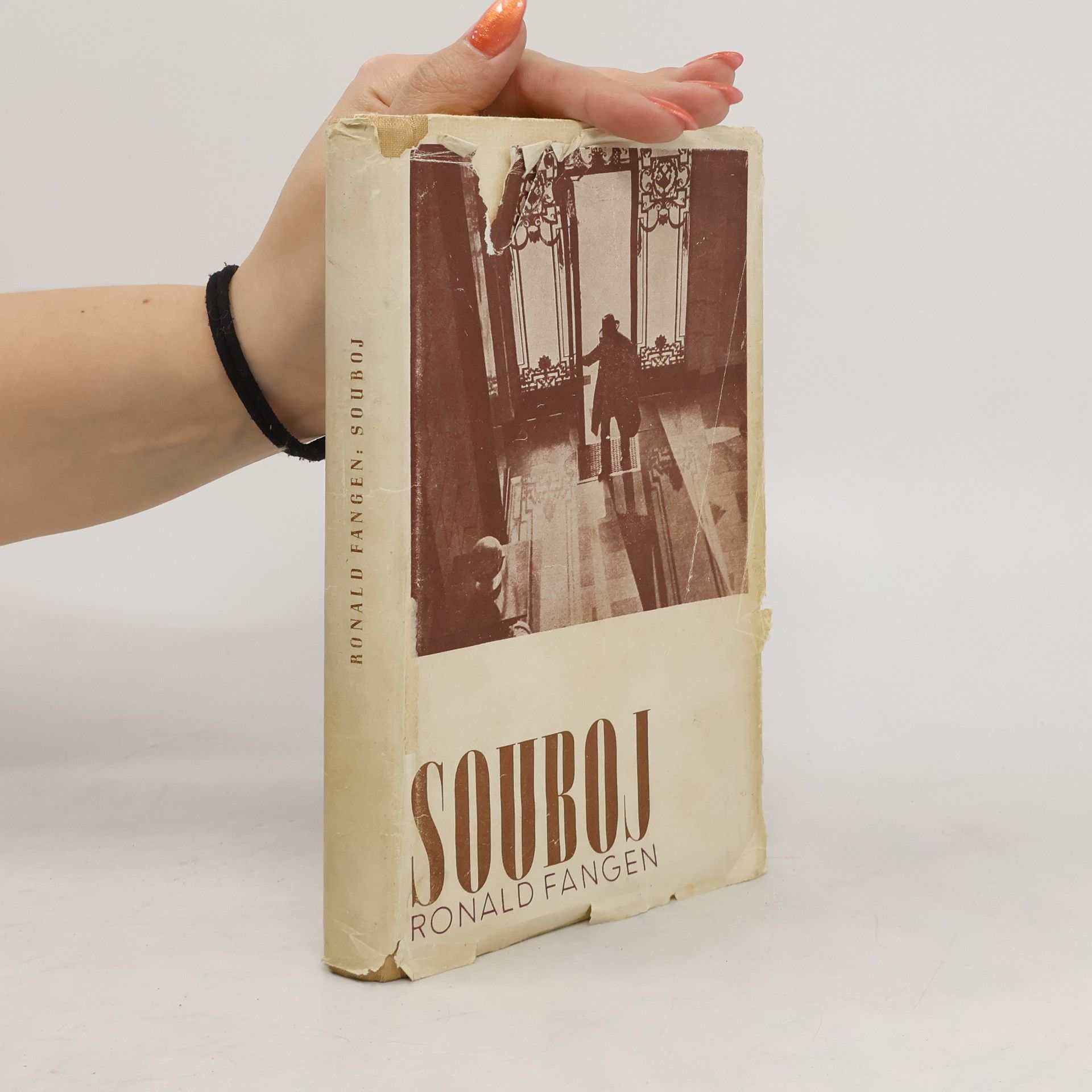 Ronald Fangen Souboj