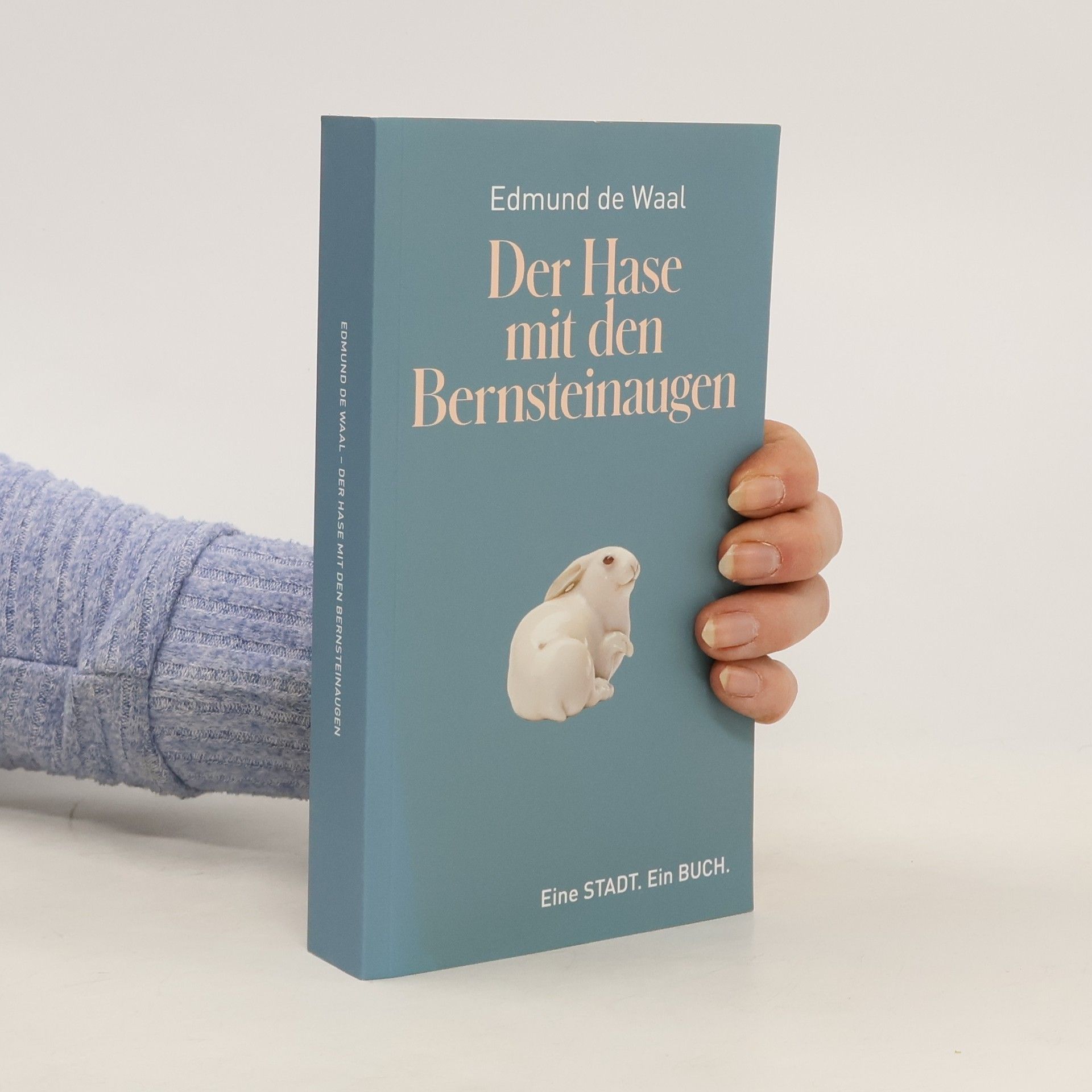Edmund de Waal Der Hase mit den Bernsteinaugen