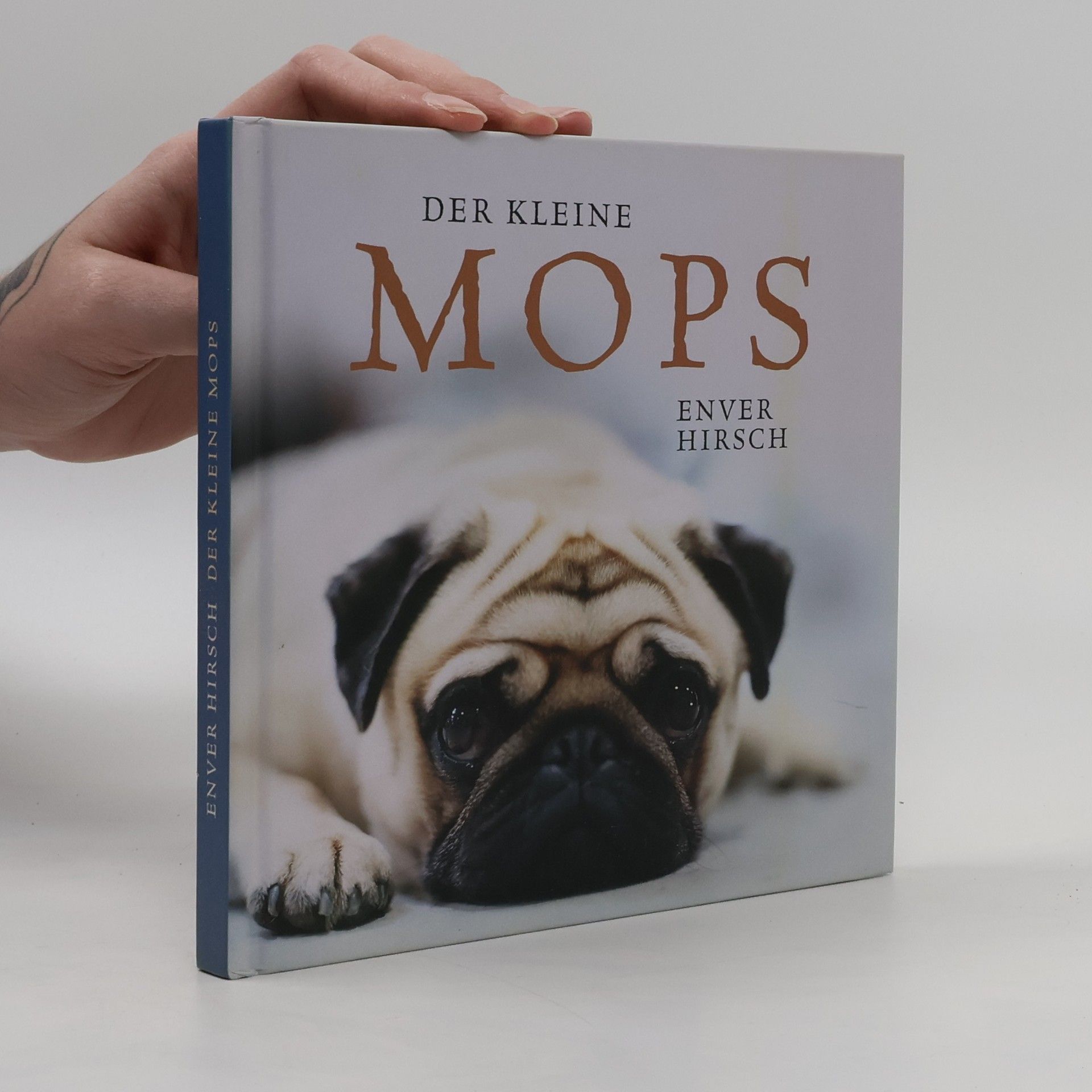 Enver Hirsch Der kleine Mops