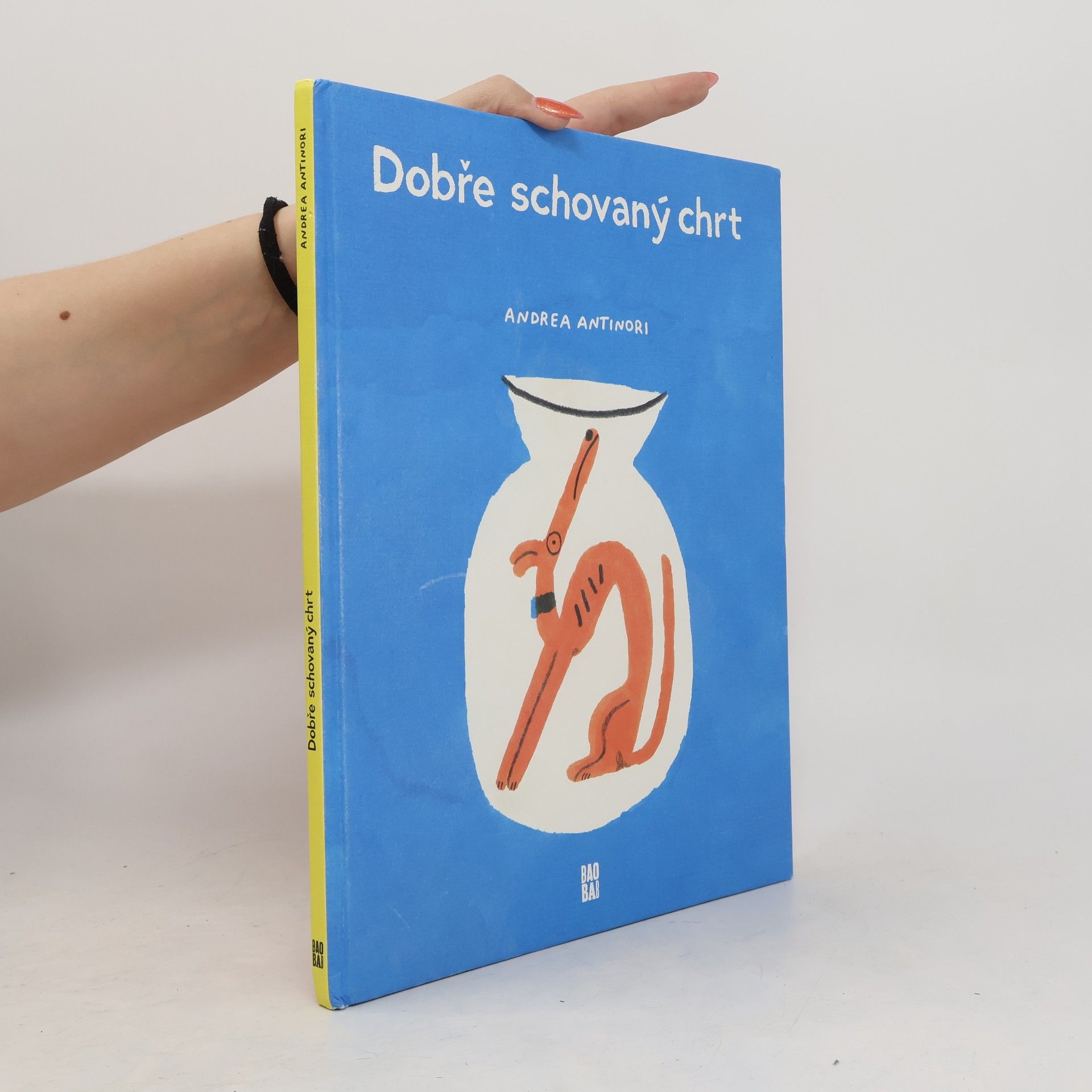 Andrea Antinori Dobře schovaný chrt