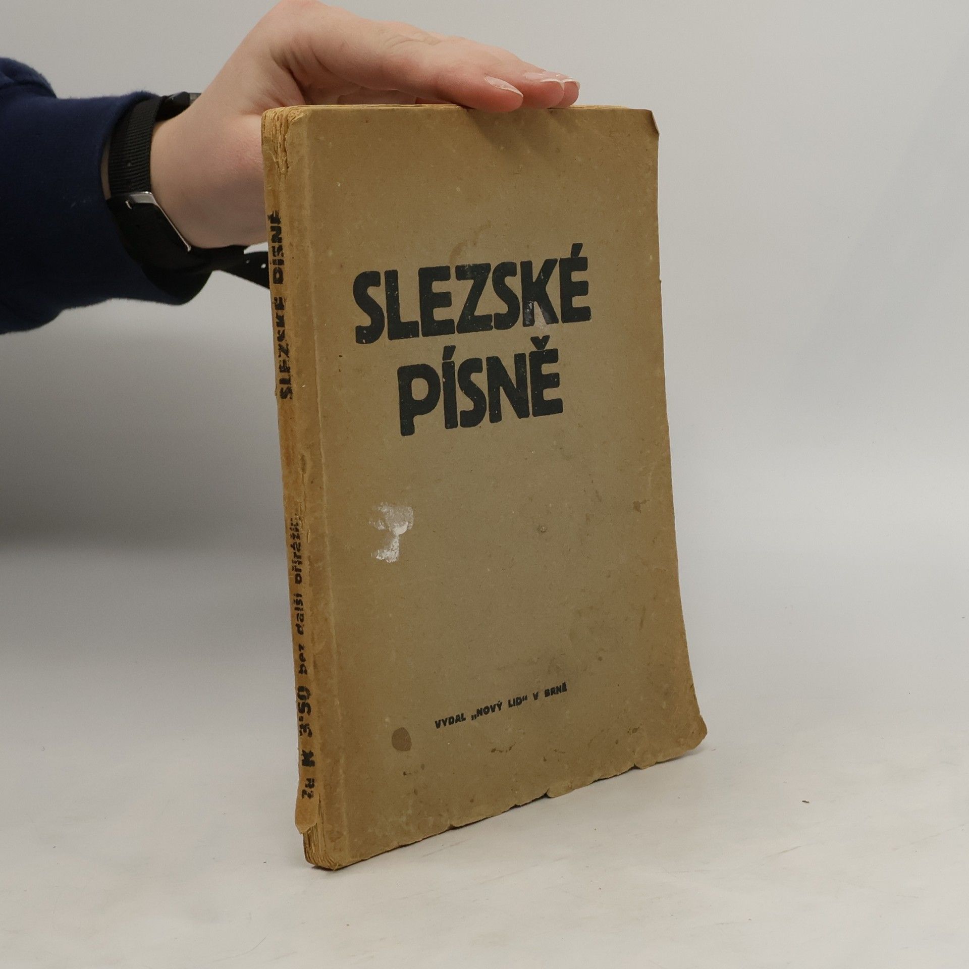 Autorenkollektiv Slezské písně