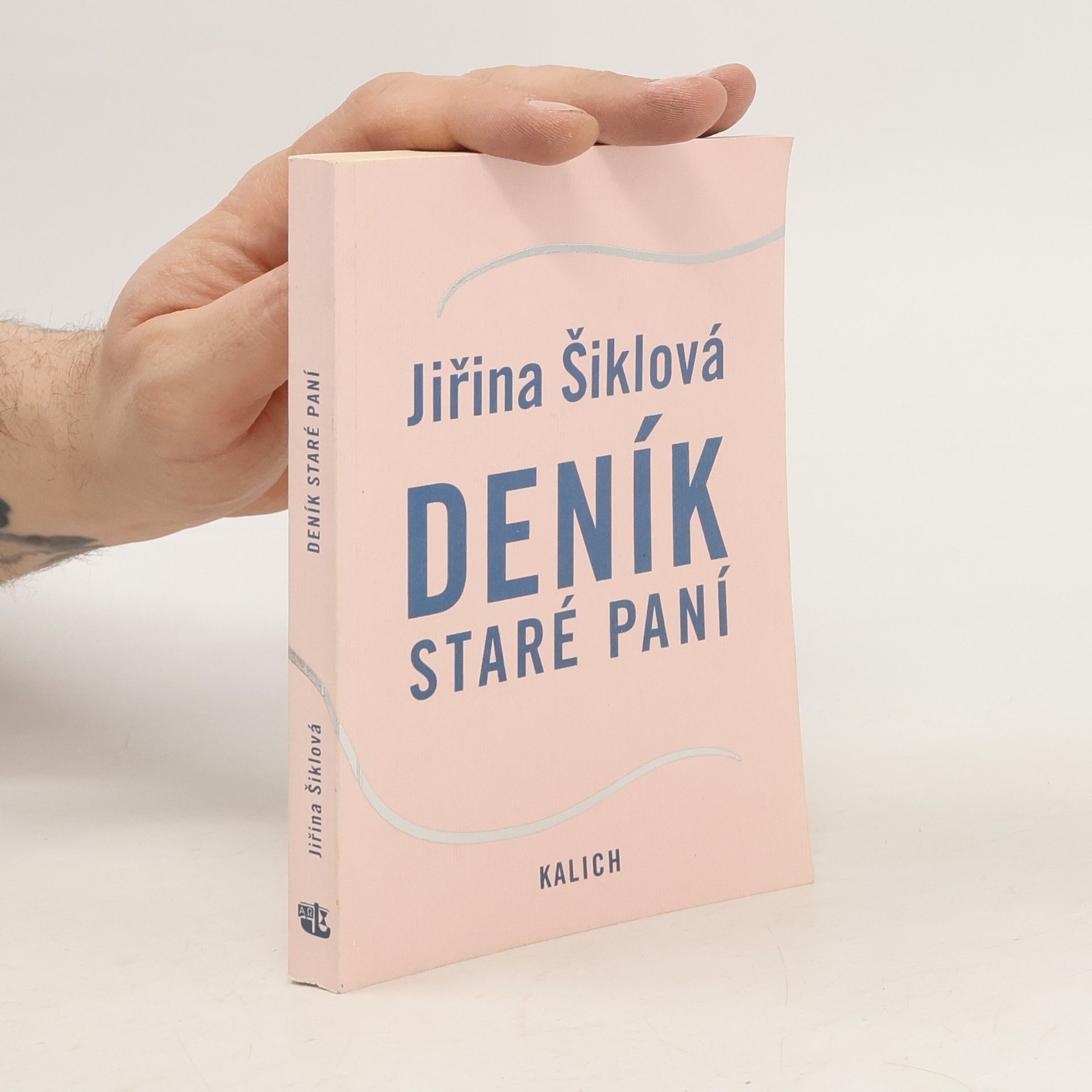 Jiřina Šiklová Deník staré paní