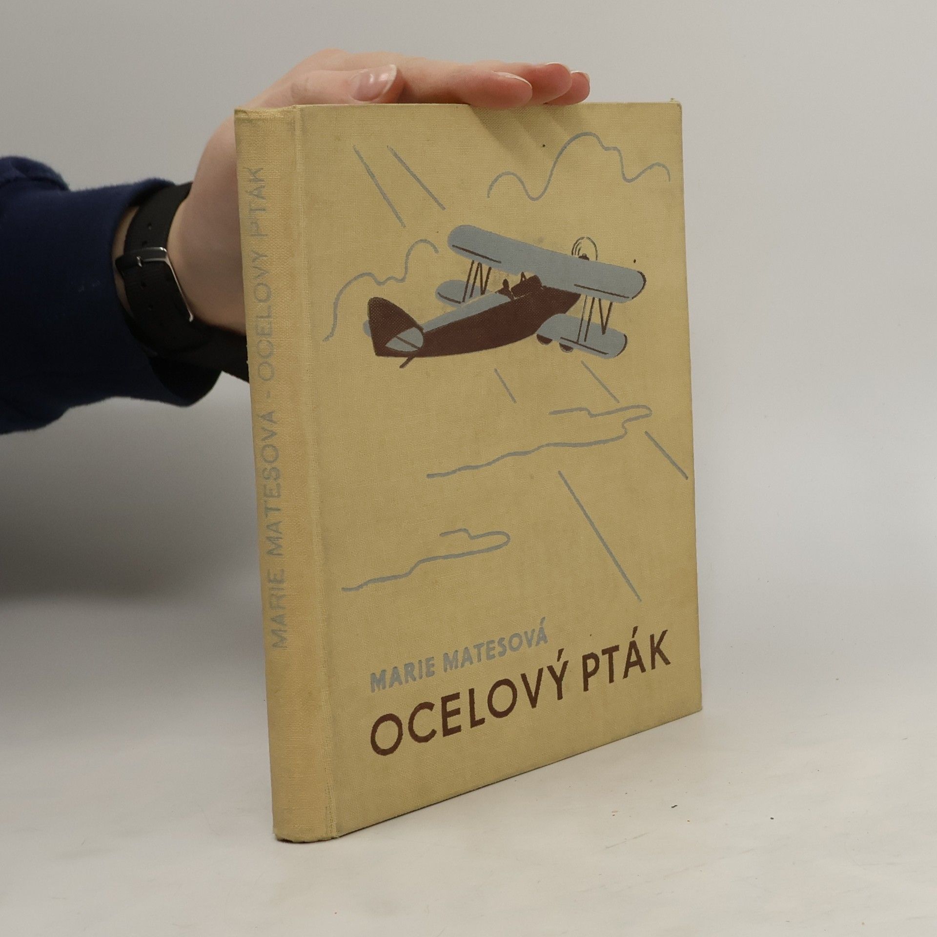 Marie Matesová Ocelový pták