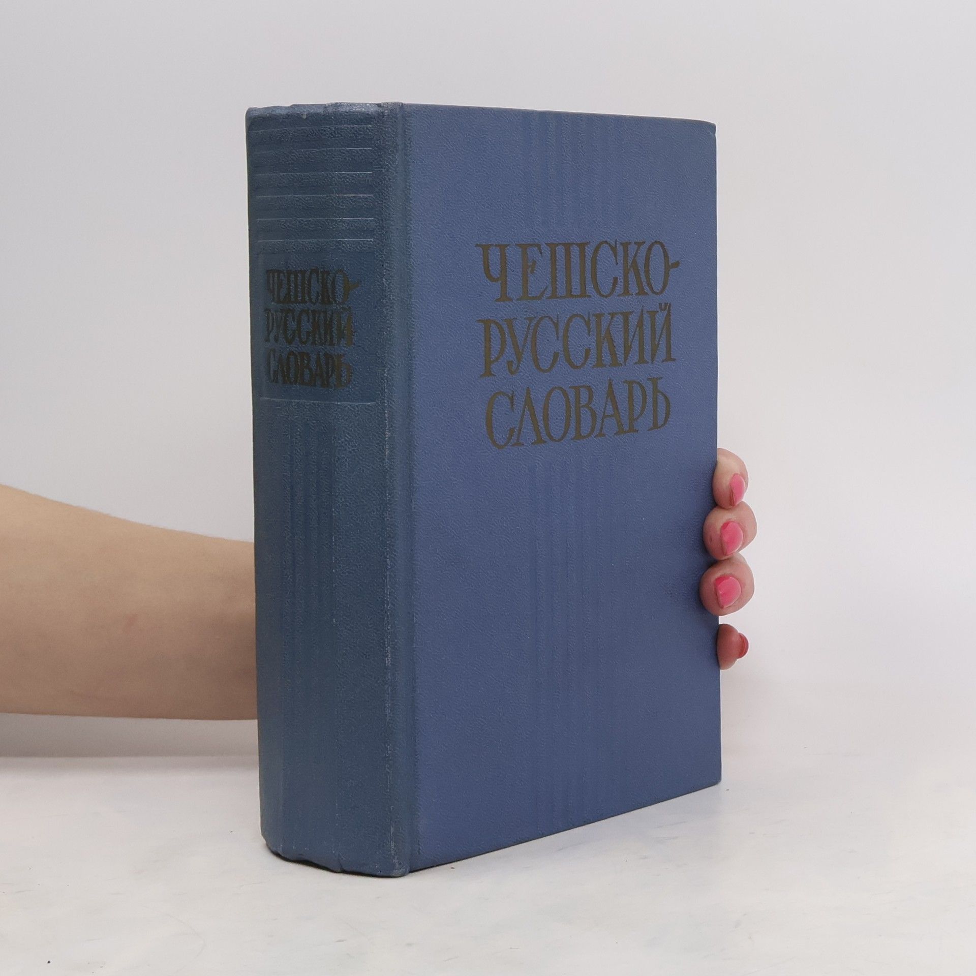 Collectif d'auteurs Чешско-русский словарь