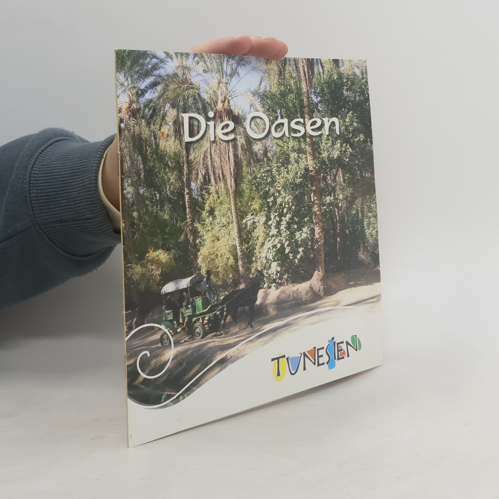 Autorenkollektiv Die Oasen. Tunesien